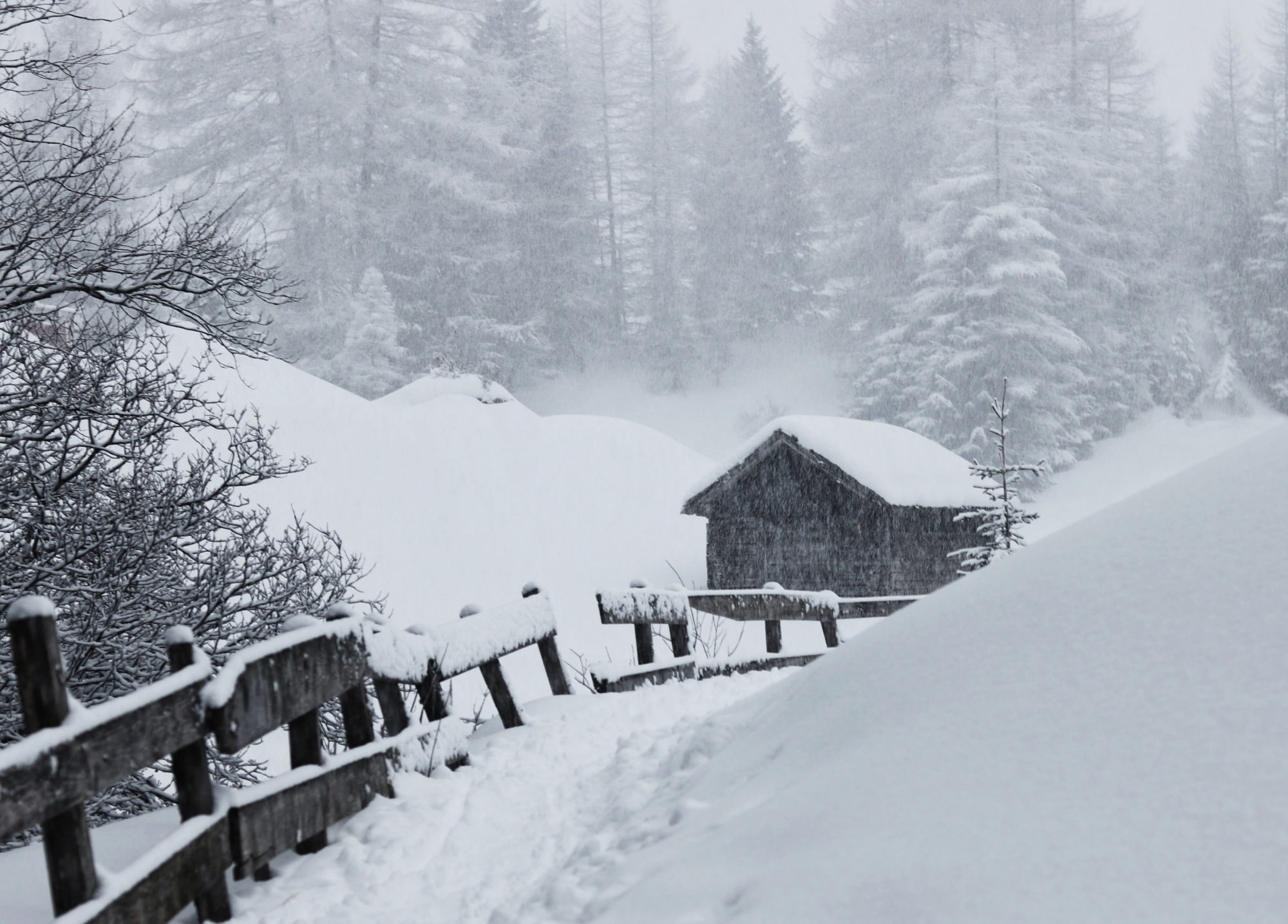 Schneefall Schneeschuhtour Hütte Pfad
