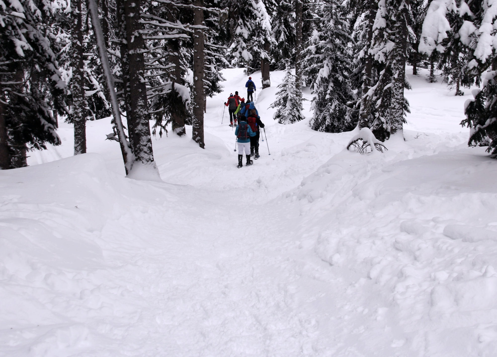 Schneeschuhwandern abwärts Gruppe