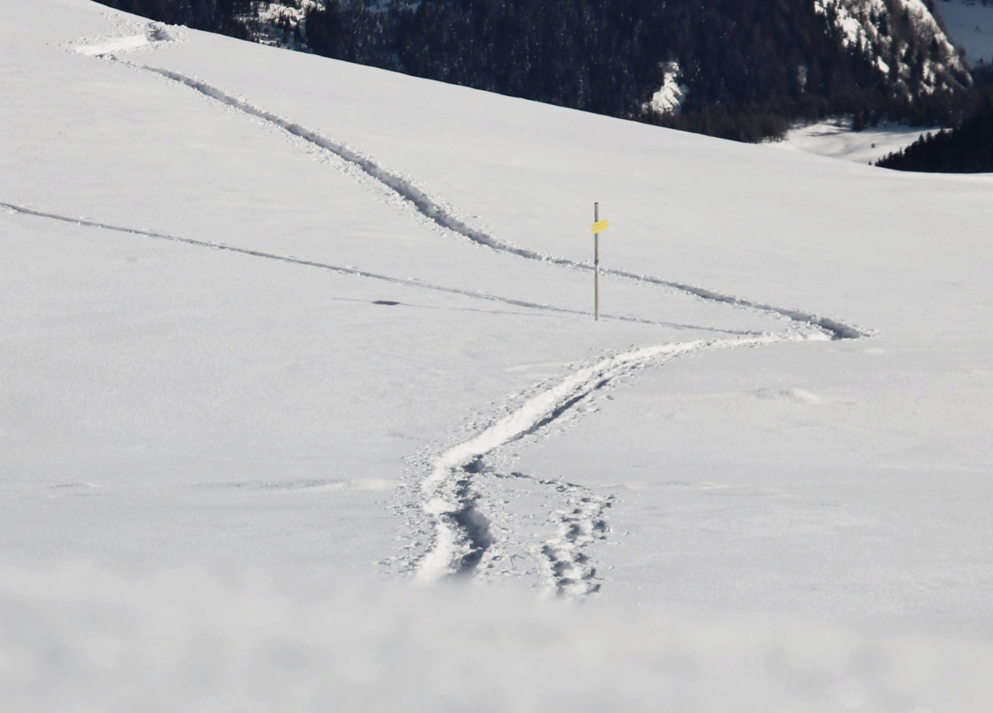 Tiefschneespuren beim Schneeschuhwandern
