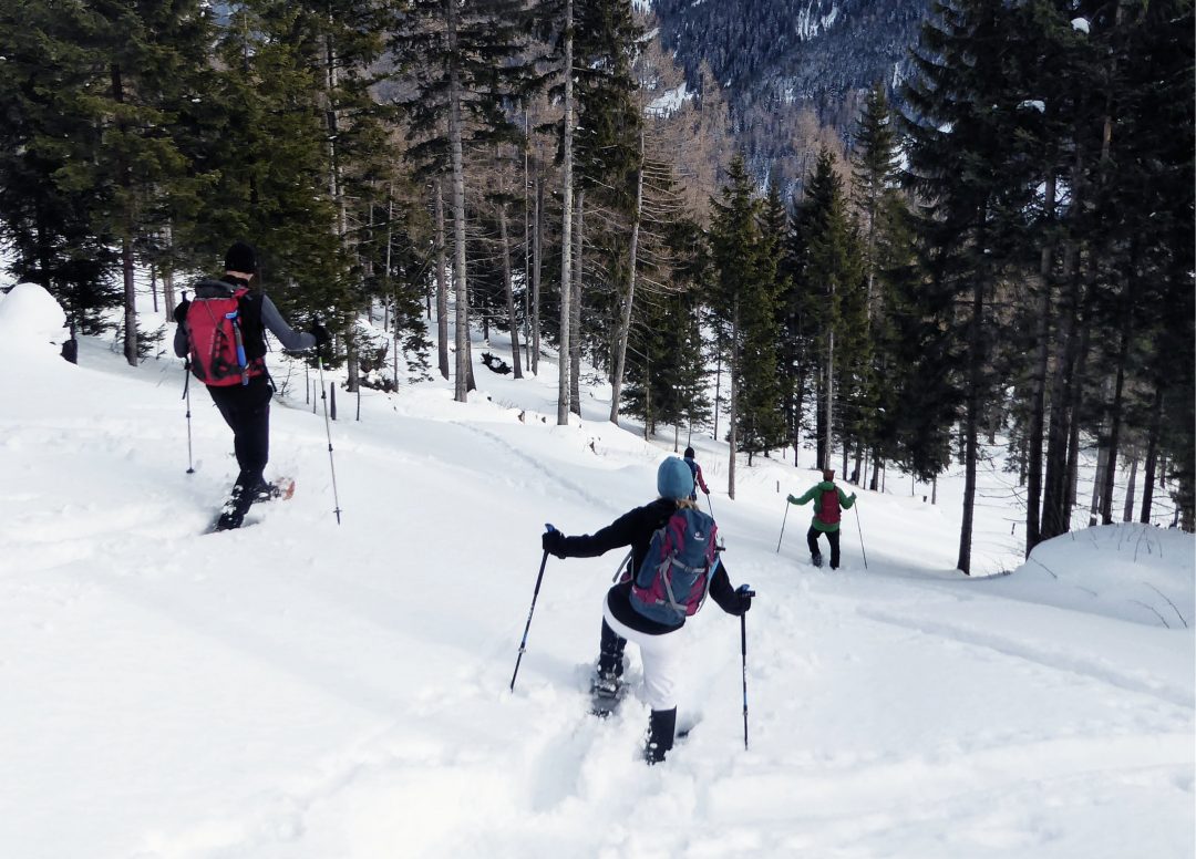 Schneeschuhwanderungen Runterrennen durch den Tiefschnee