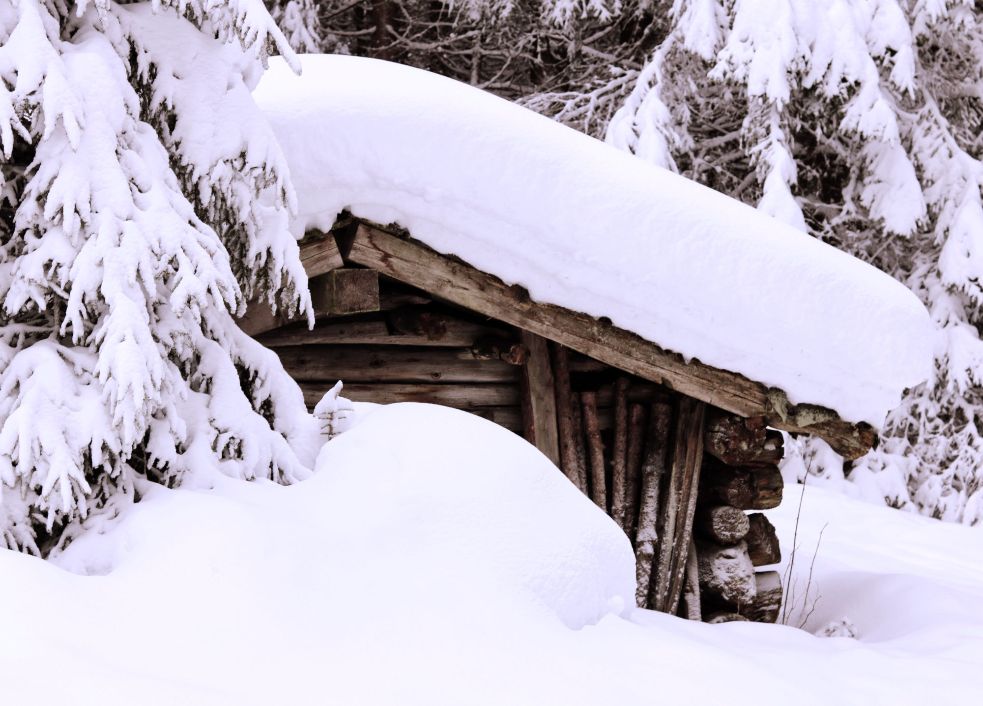 Schneeschuhtour Brennerberge Verschneite Hütten am Wegesrand