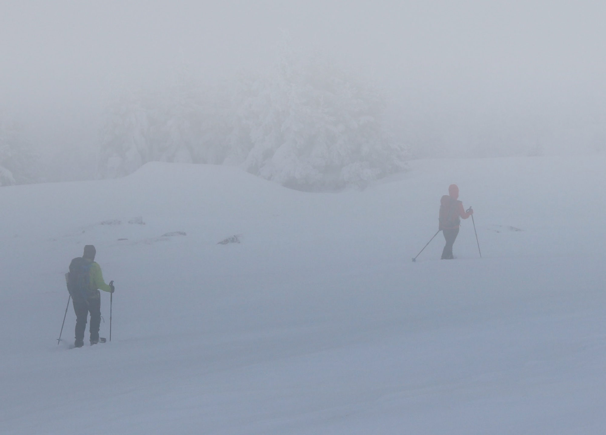 Schneeschuhwandern im Nebel