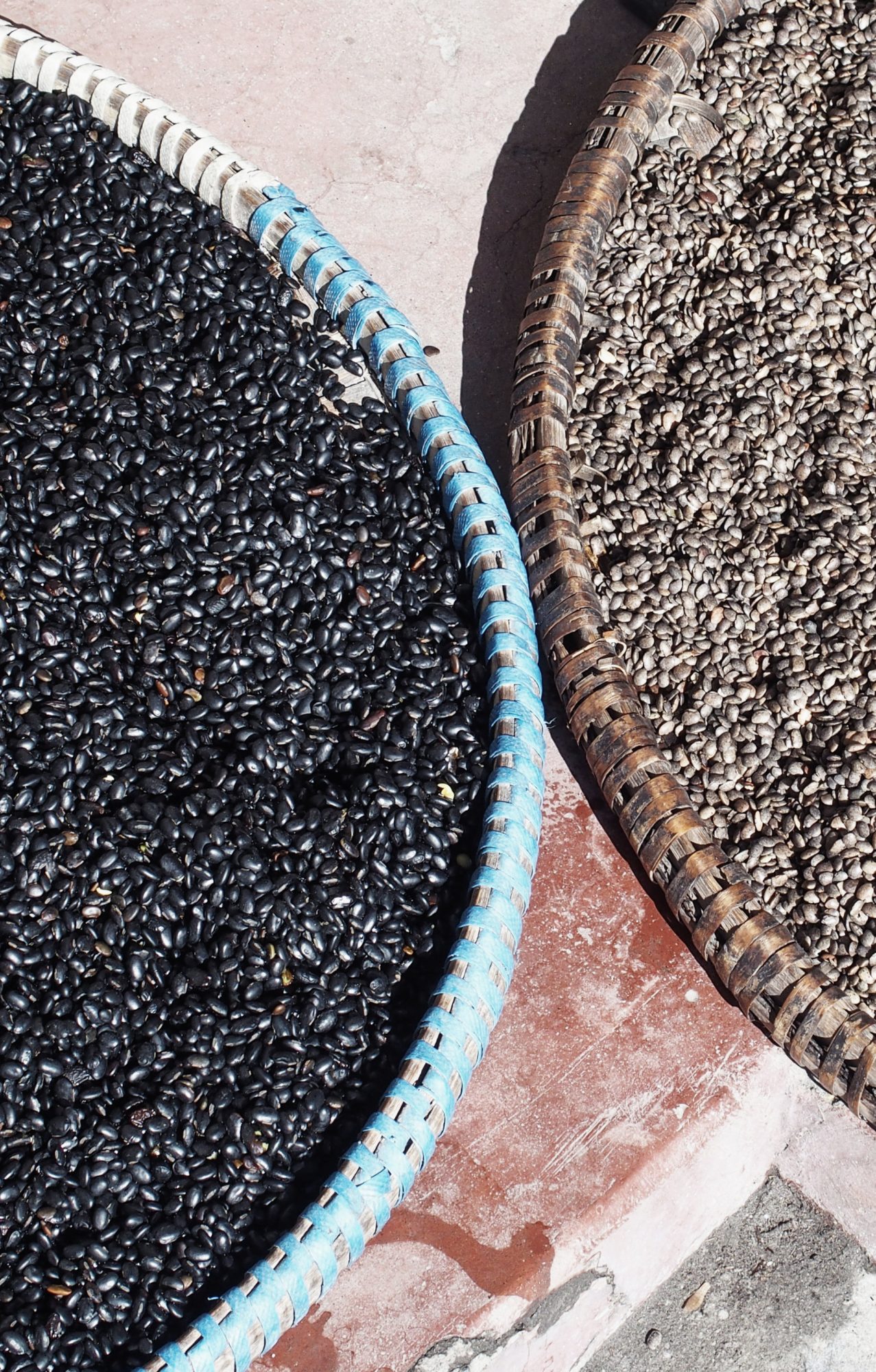 Linsen trocknen in der Sonne. Annapurna Circuit