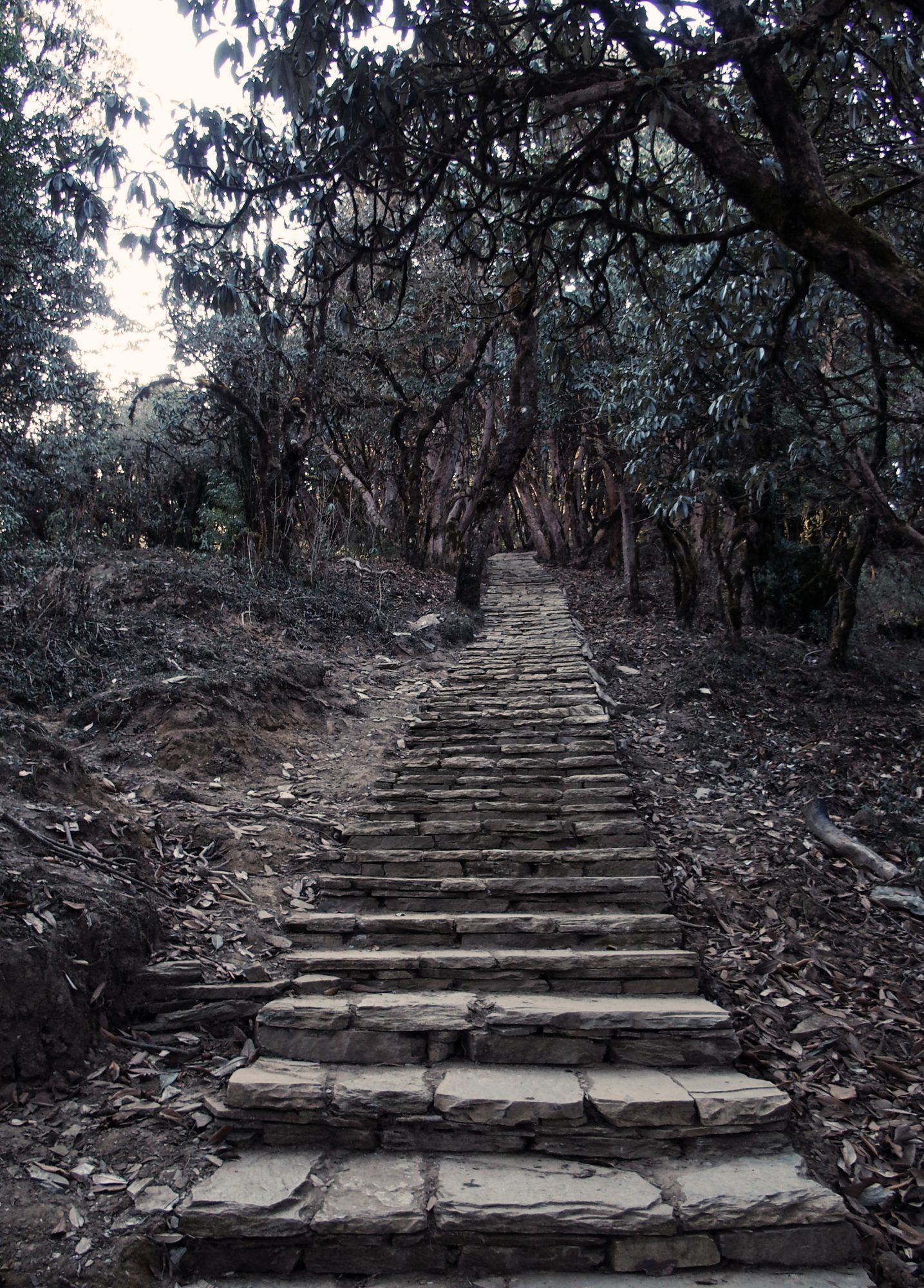 Treppenstufen auf dem Annapurna Circuit