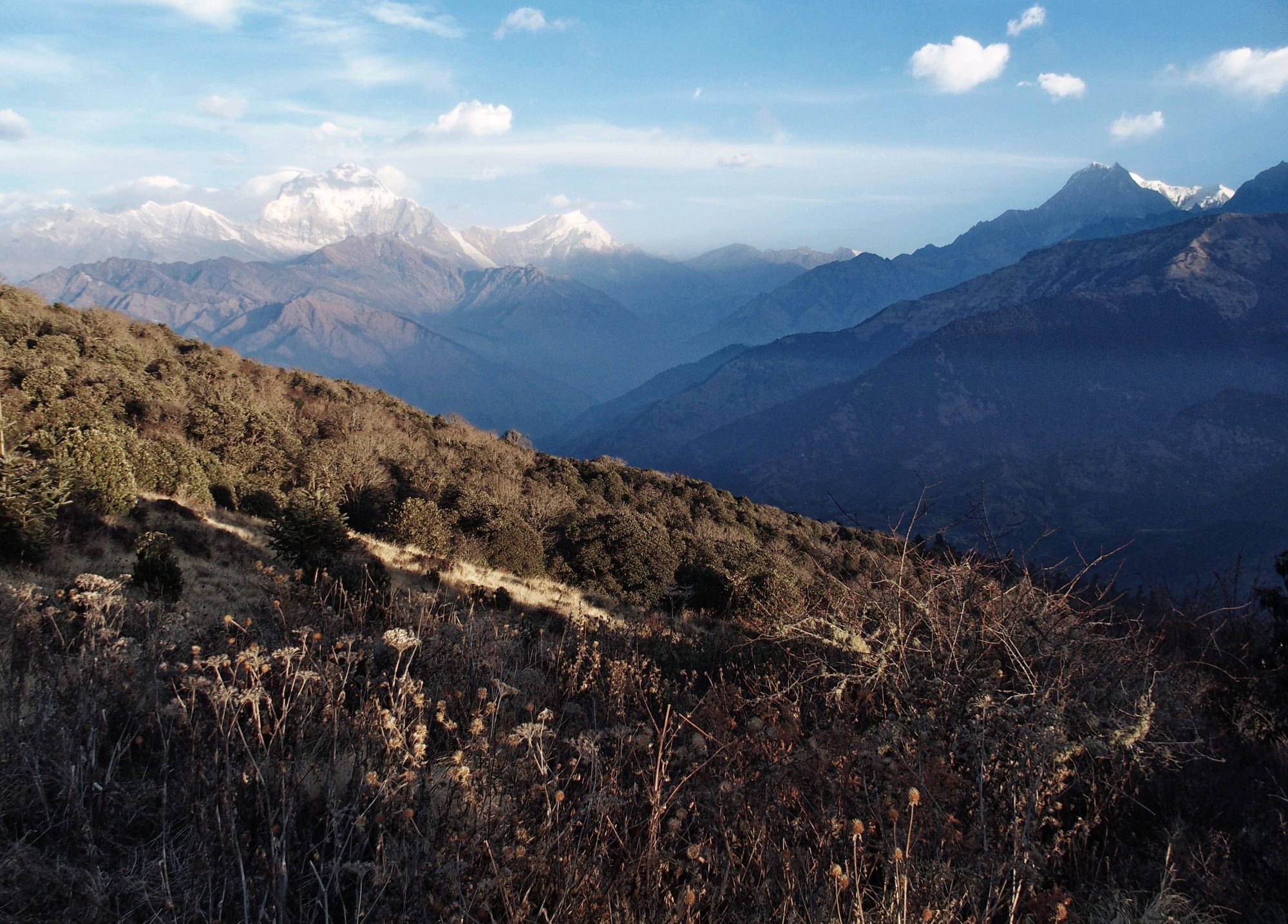 Auf dem Weg nach Tadapani