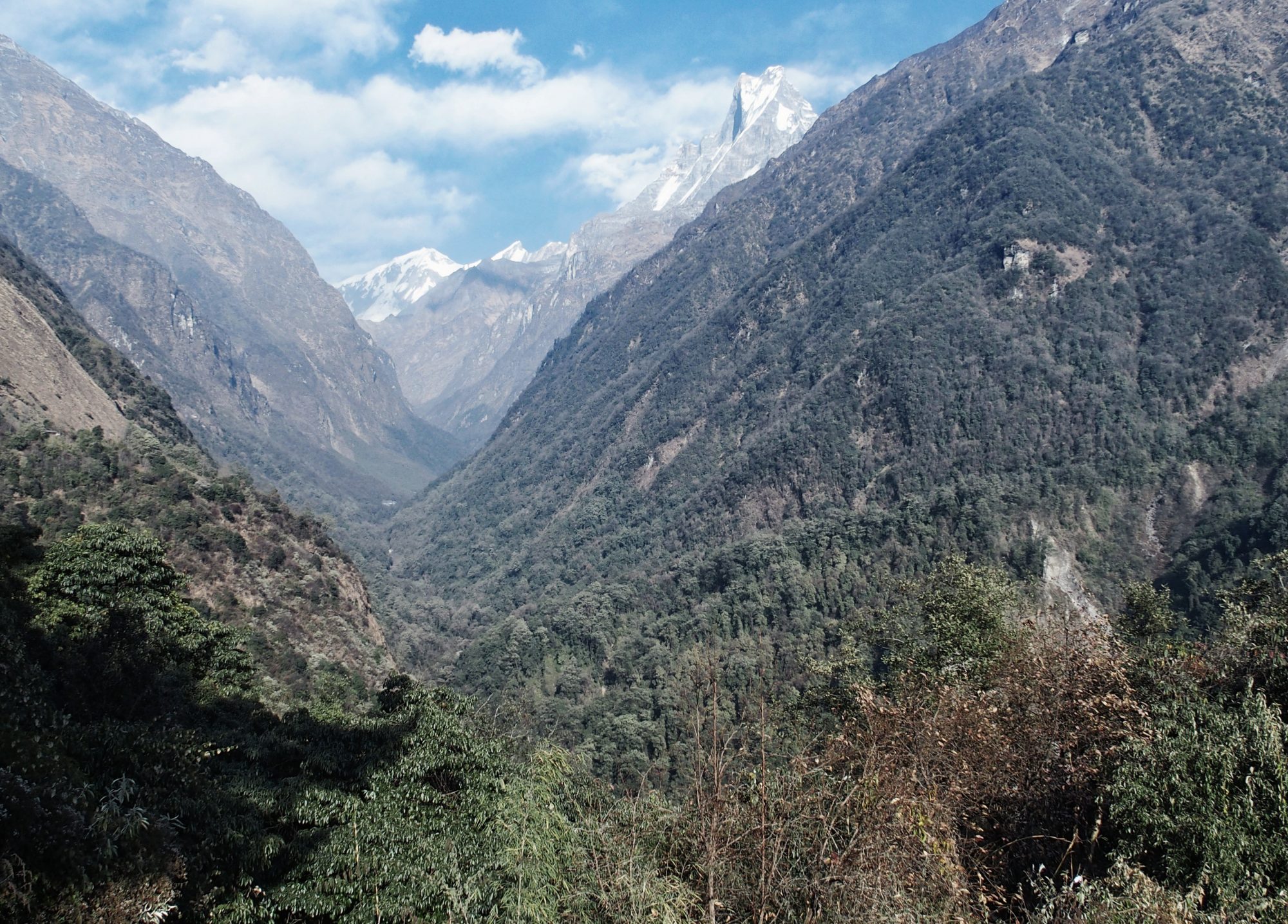 Ausblick auf den kommenden Trail (auf der linken Talseite) und Machapuchare