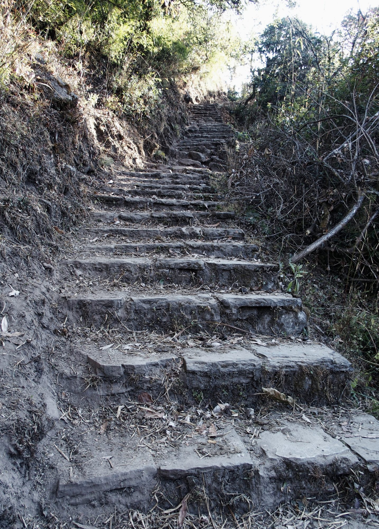 Und es geht wieder aufwärts! Annapurna Base Camp Trail