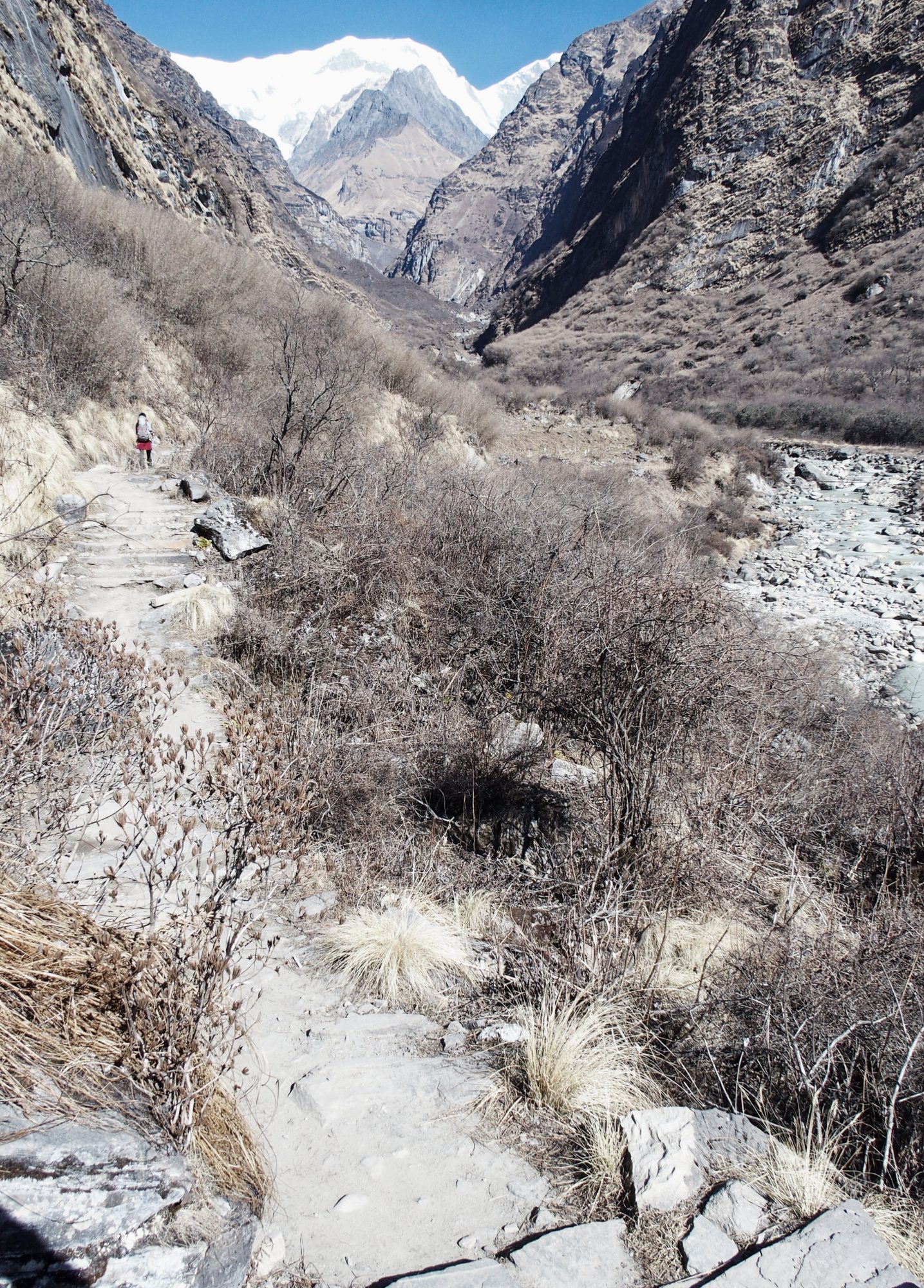 Trail Annapurna Base Camp
