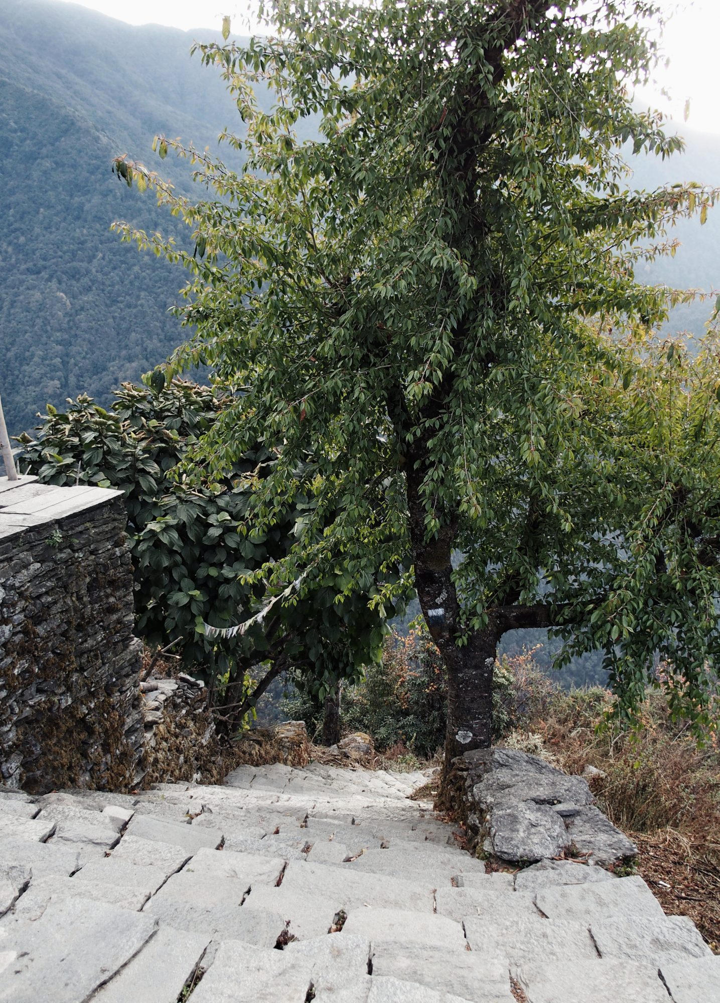 Treppen auf dem Annapurna Circuit