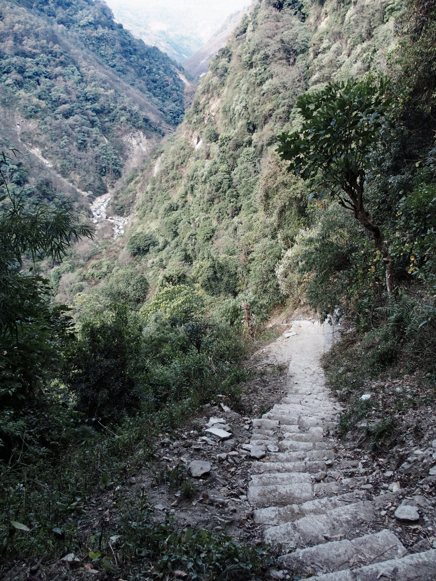 Treppen auf dem Annapurna Base Camp Trek