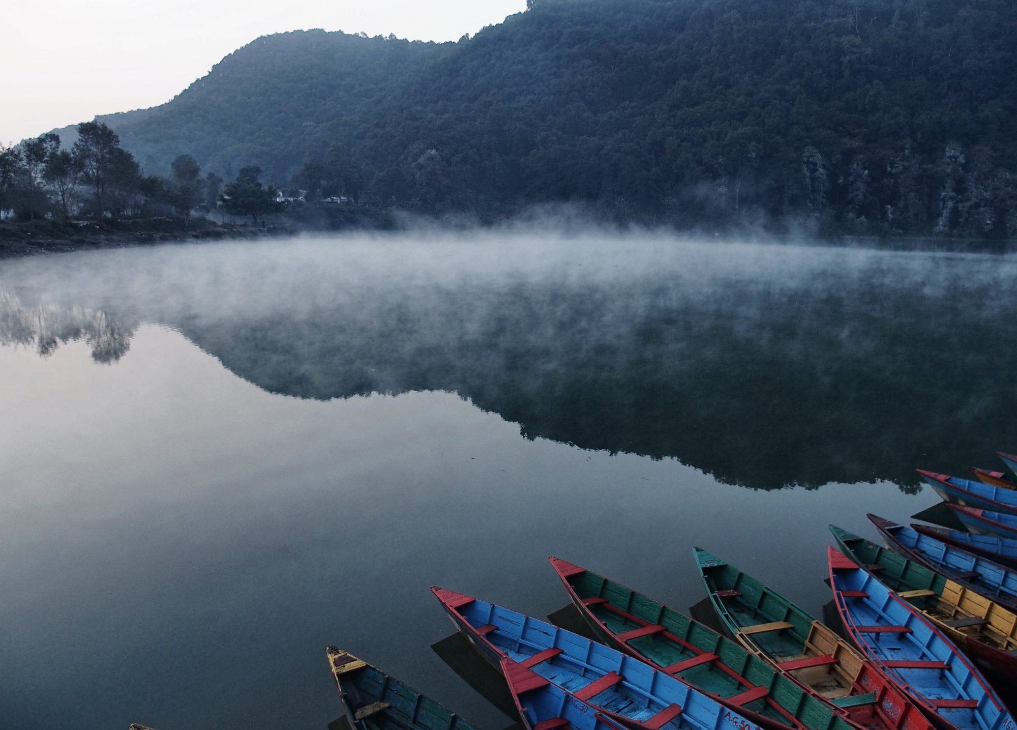 Phewa See mit den typisch bunten Booten