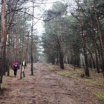 Wandern Brandenburg