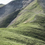 Zugspitzregion Wandern