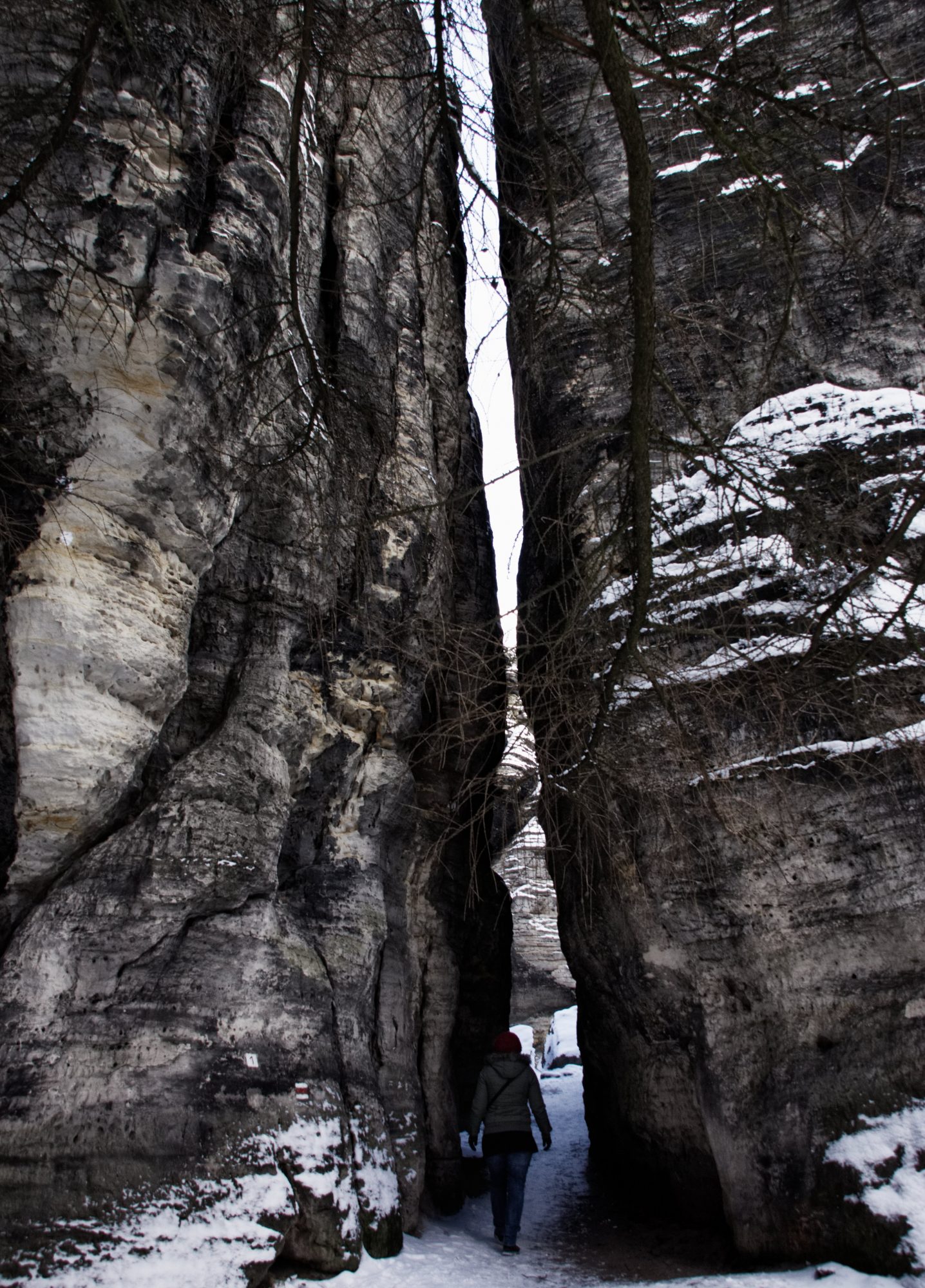 Sächsische Schweiz, Elbsandsteingebirge, Tissa, Tissa Wände, Böhmische Schweiz, Winter, Wandern