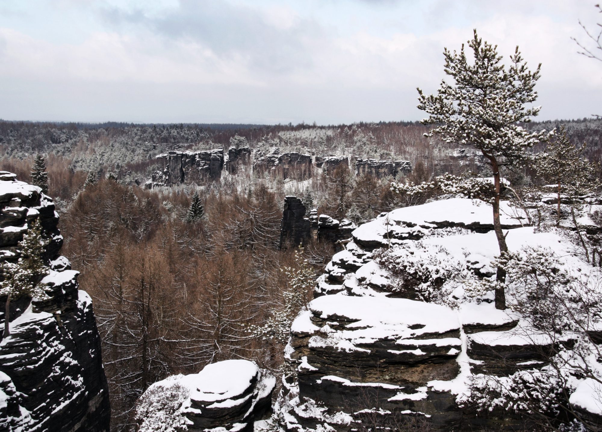 Sächsische Schweiz, Elbsandsteingebirge, Tissa, Tissa Wände, Böhmische Schweiz, Winter, Wandern