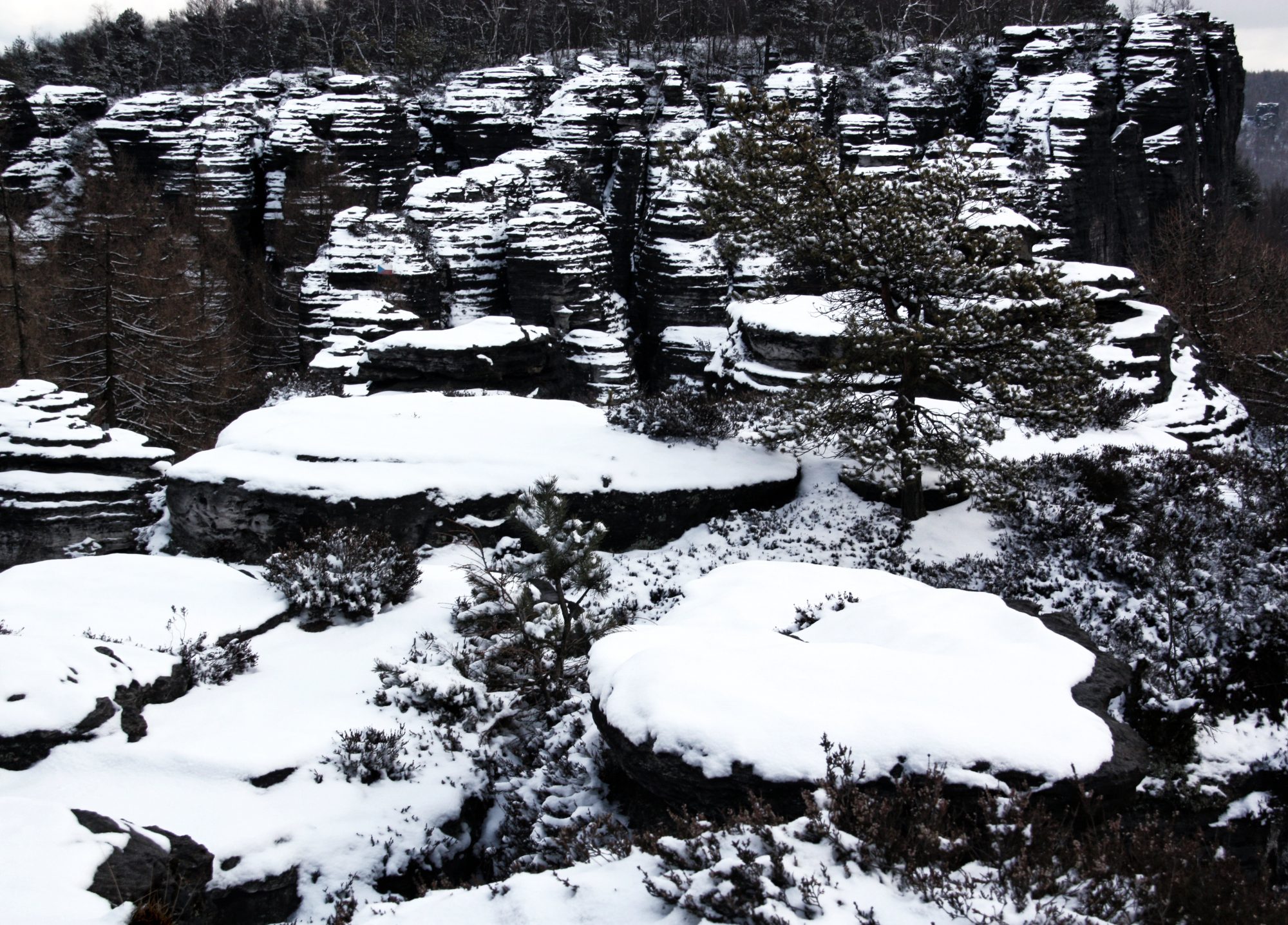 Sächsische Schweiz, Elbsandsteingebirge, Tissa, Tissa Wände, Böhmische Schweiz, Winter, Wandern