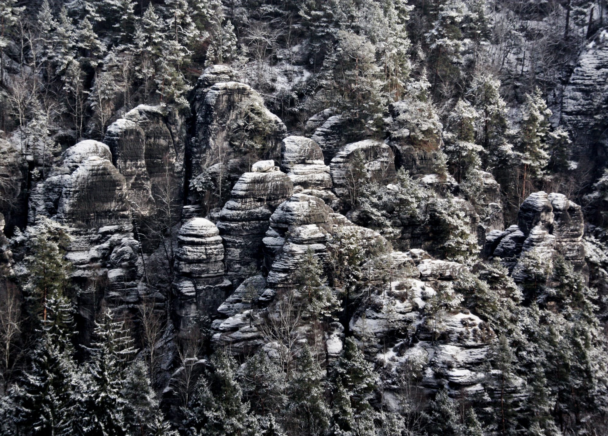 Sächsische Schweiz, Elbsandsteingebirge, Bastei, Basteibrücke, Rathen, Winter, Wandern