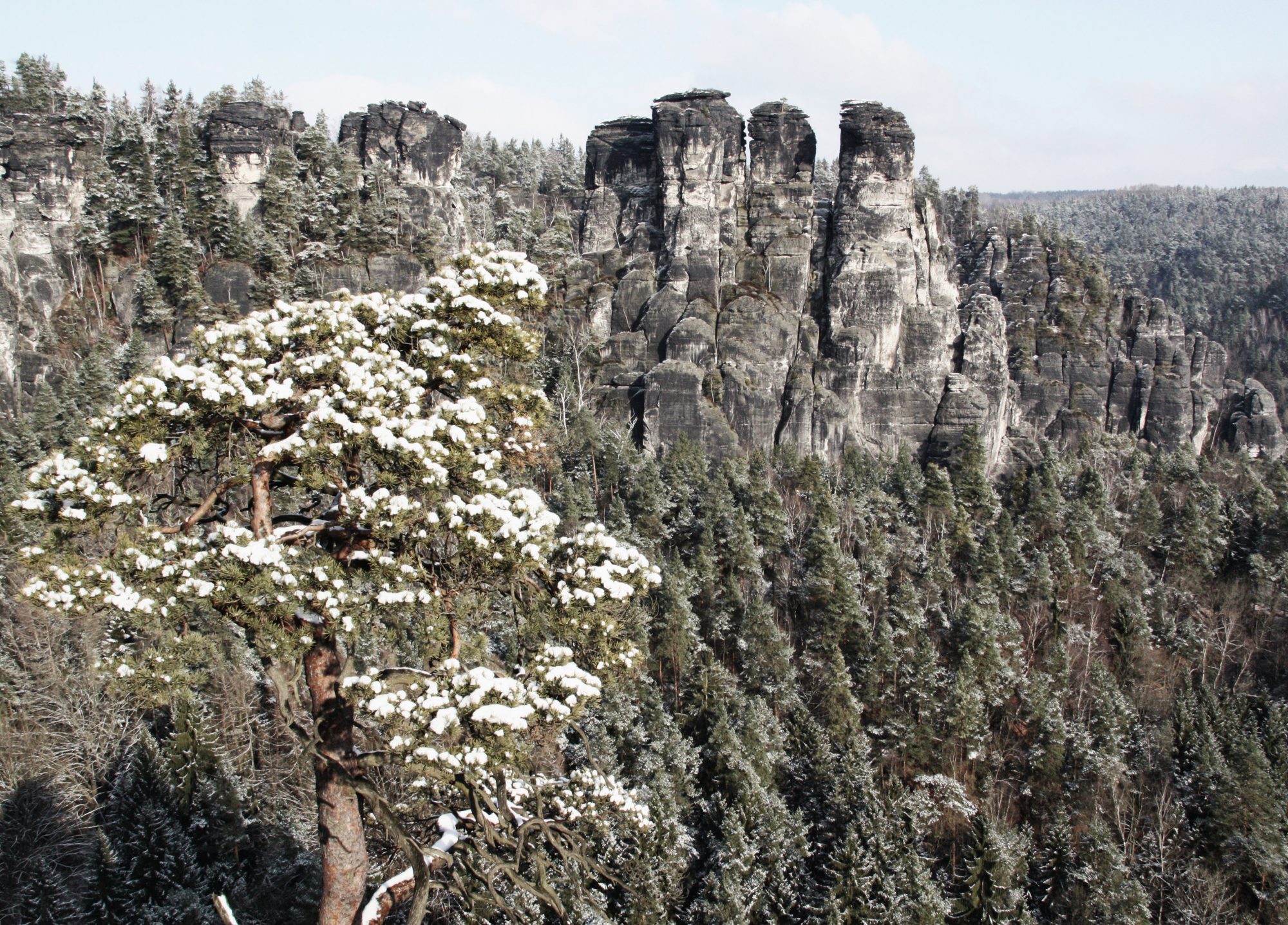 Sächsische Schweiz, Elbsandsteingebirge, Bastei, Basteibrücke, Rathen, Winter, Wandern