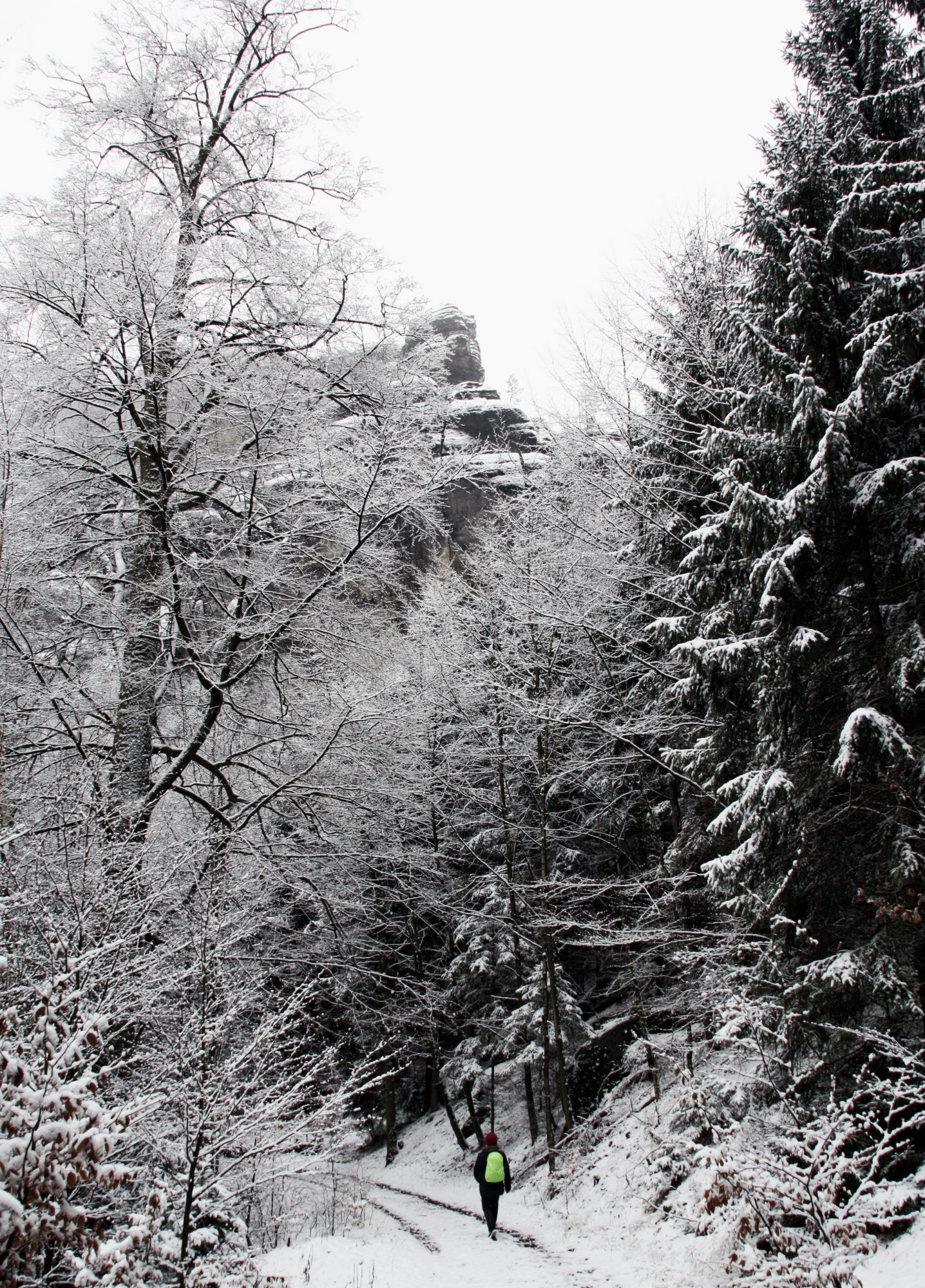 Elbsandsteingebirge, Sächsische Schweiz, Wandern, Wandertour