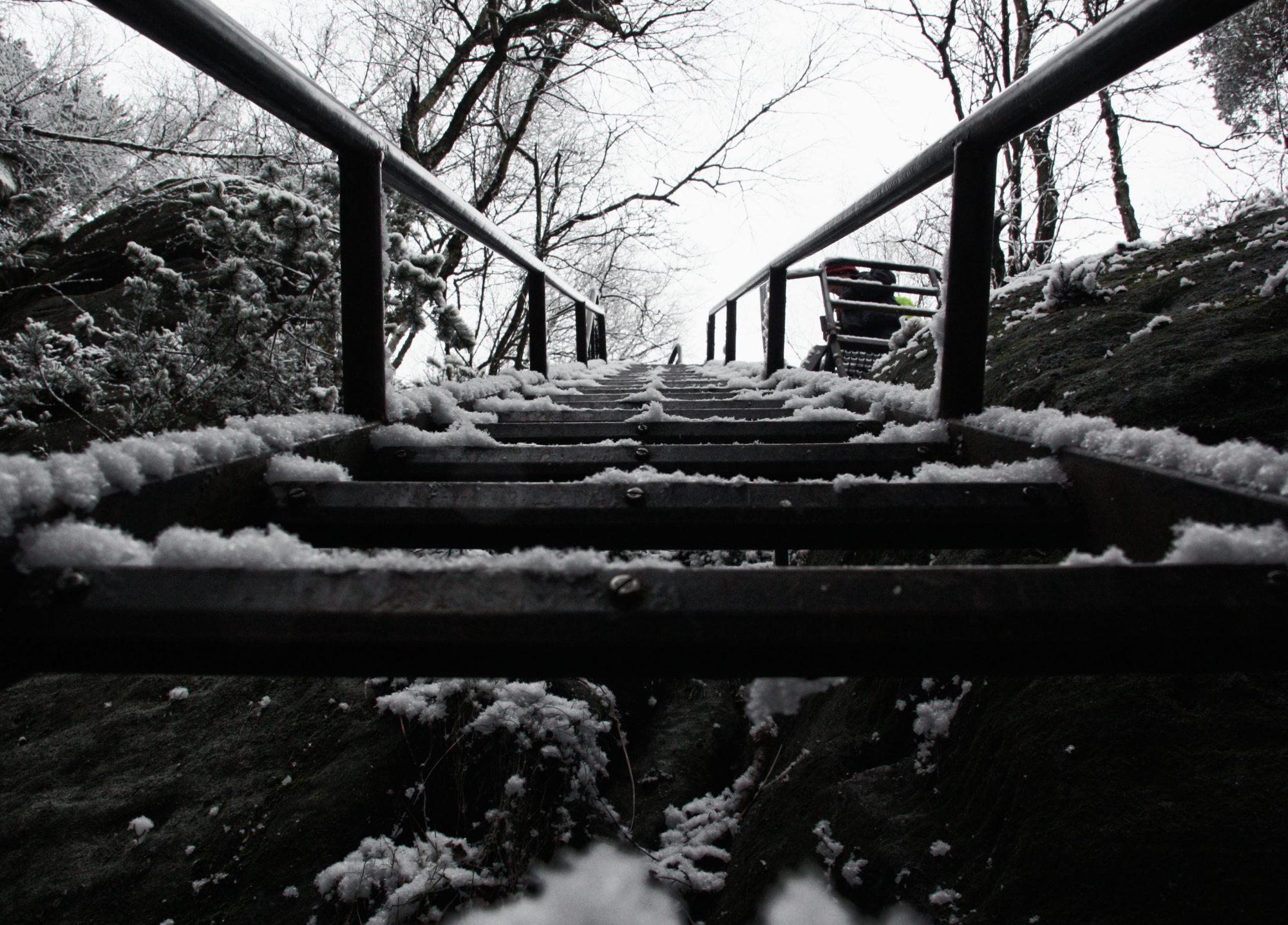 Aufstieg, Elbsandsteingebirge, Sächsische Schweiz, Wandern, Wandertour