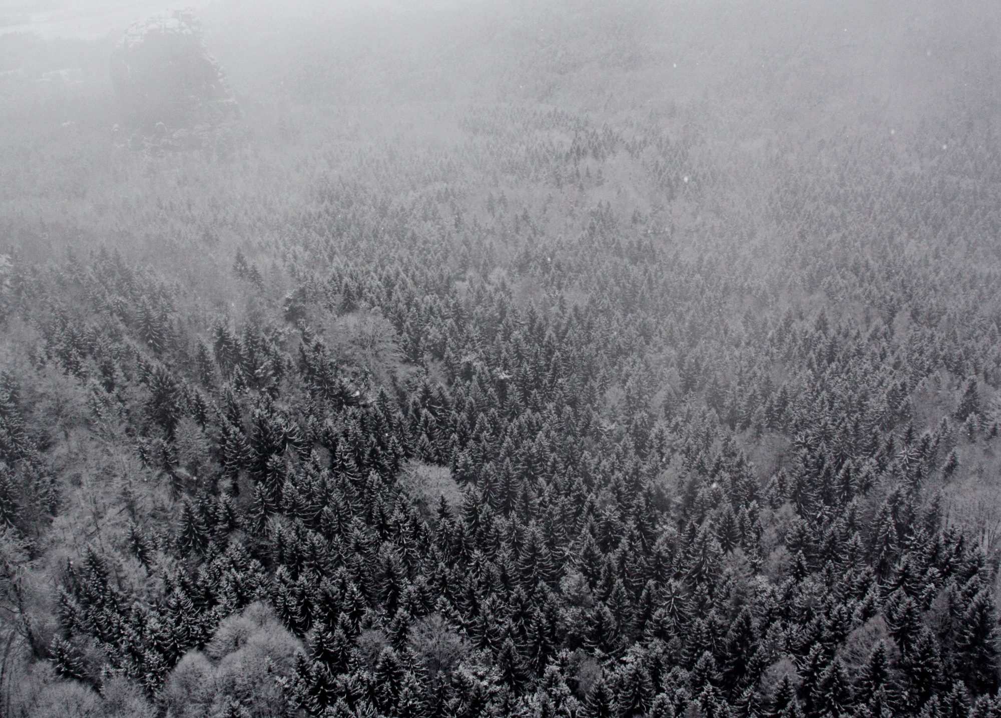 Schrammsteine, Elbsandsteingebirge, Sächsische Schweiz, Wandern, Wandertour