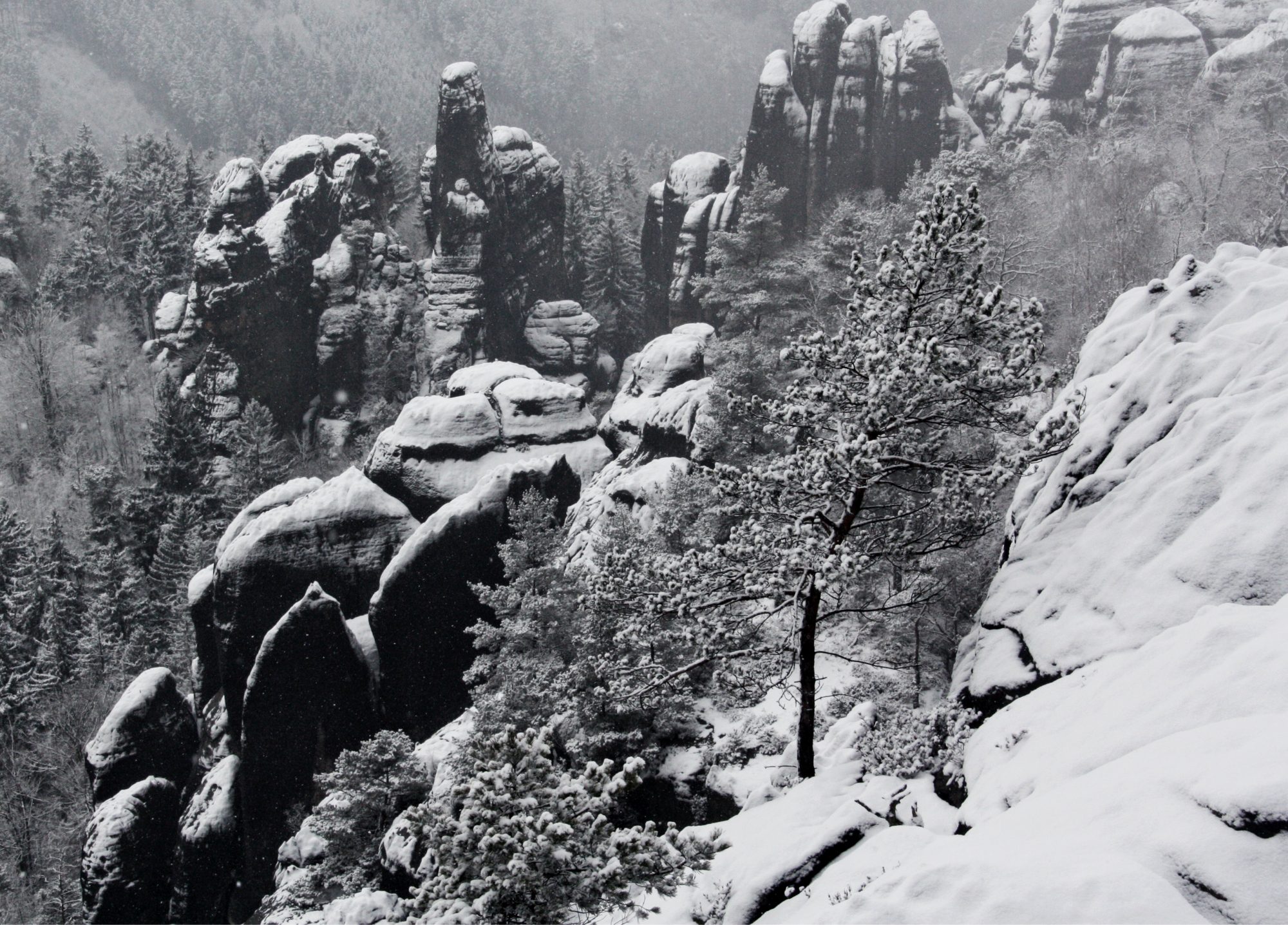 Schrammsteine, Elbsandsteingebirge, Sächsische Schweiz, Wandern, Wandertour