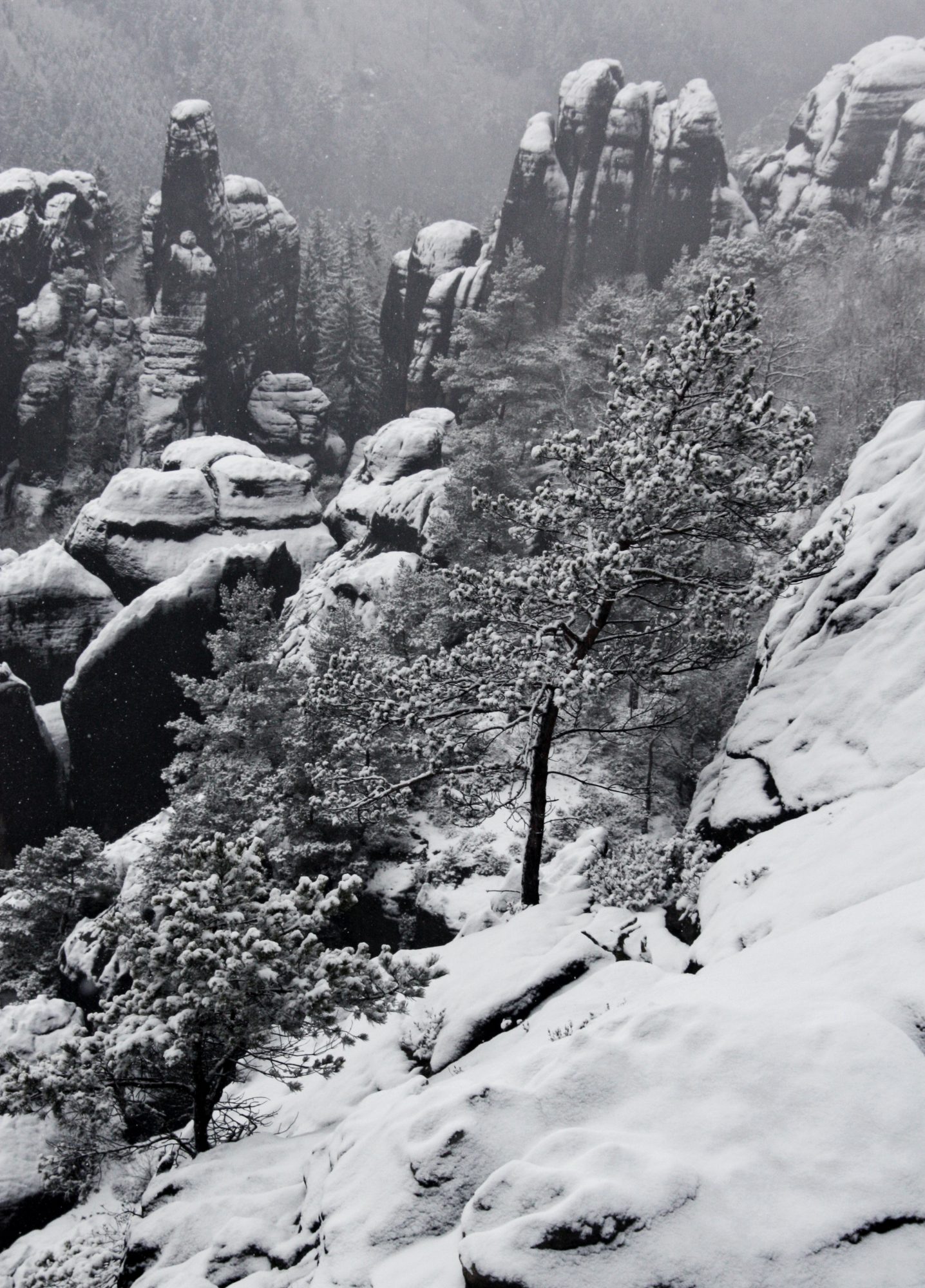 Schrammsteine, Elbsandsteingebirge, Sächsische Schweiz, Wandern, Wandertour