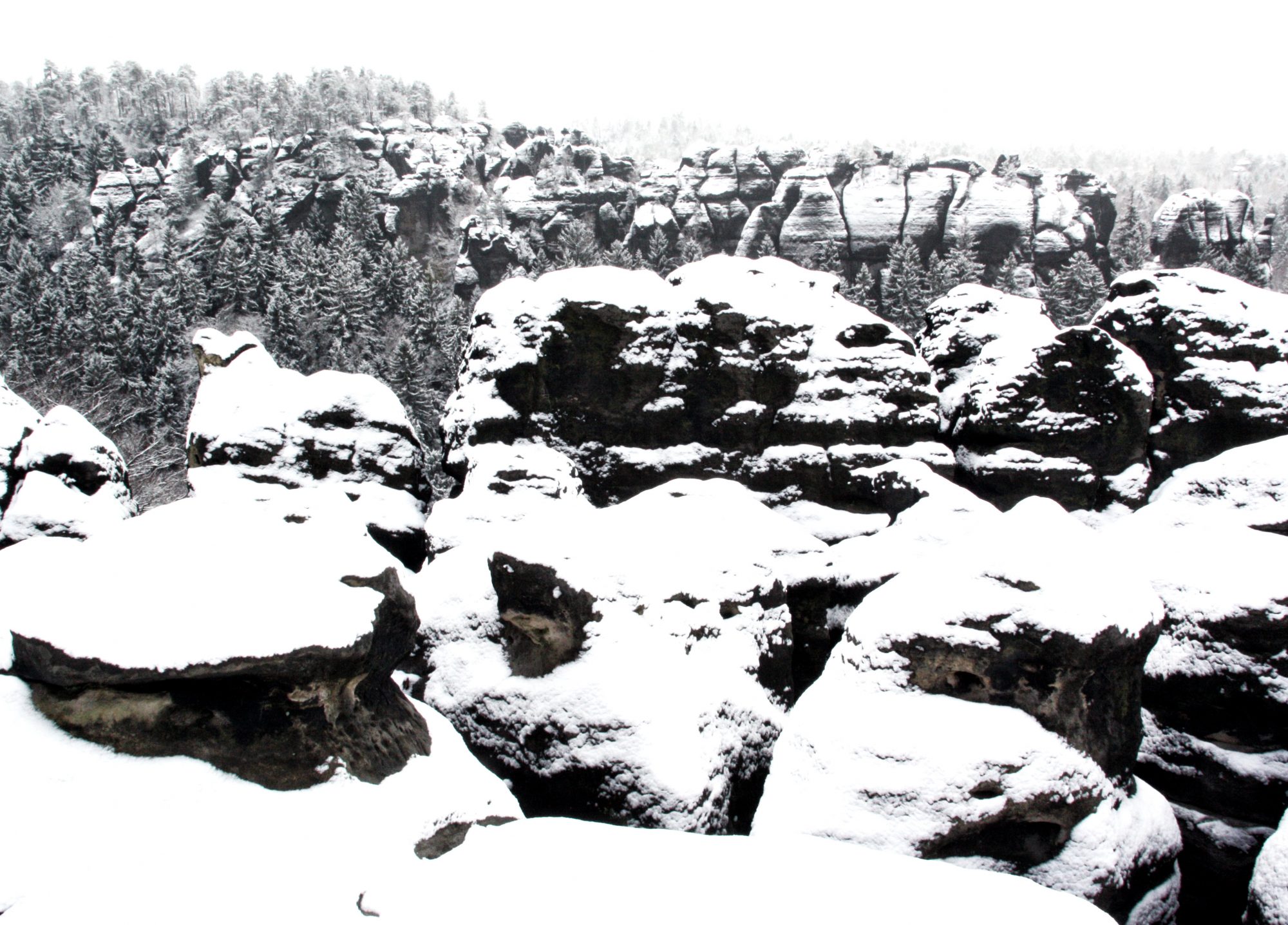Carolafelsen, Elbsandsteingebirge, Sächsische Schweiz, Wandern, Wandertour