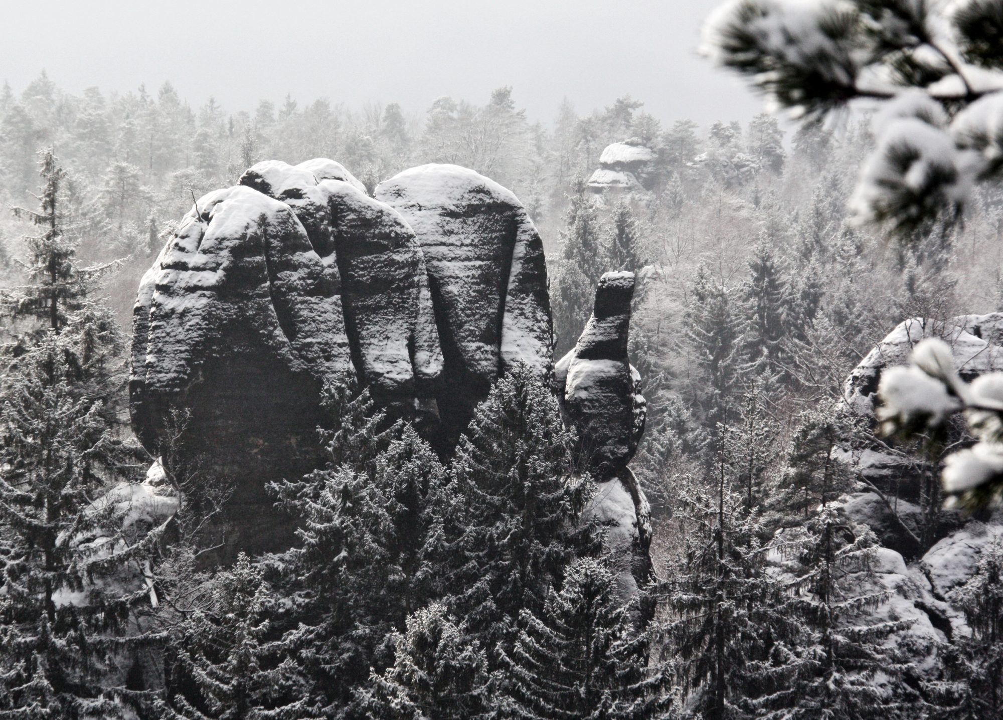 Carolafelsen, Elbsandsteingebirge, Sächsische Schweiz, Wandern, Wandertour