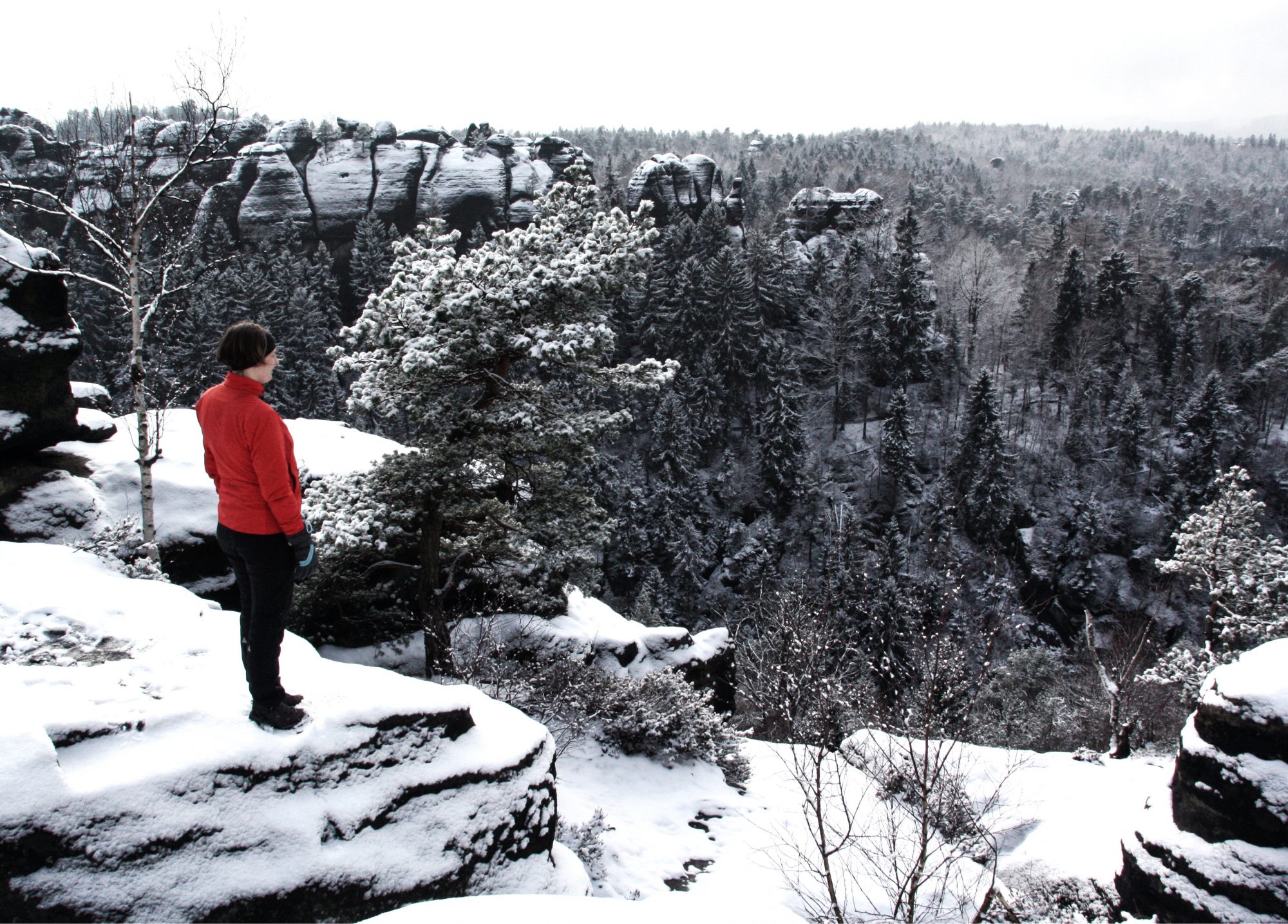 Carolafelsen, Elbsandsteingebirge, Sächsische Schweiz, Wandern, Wandertour