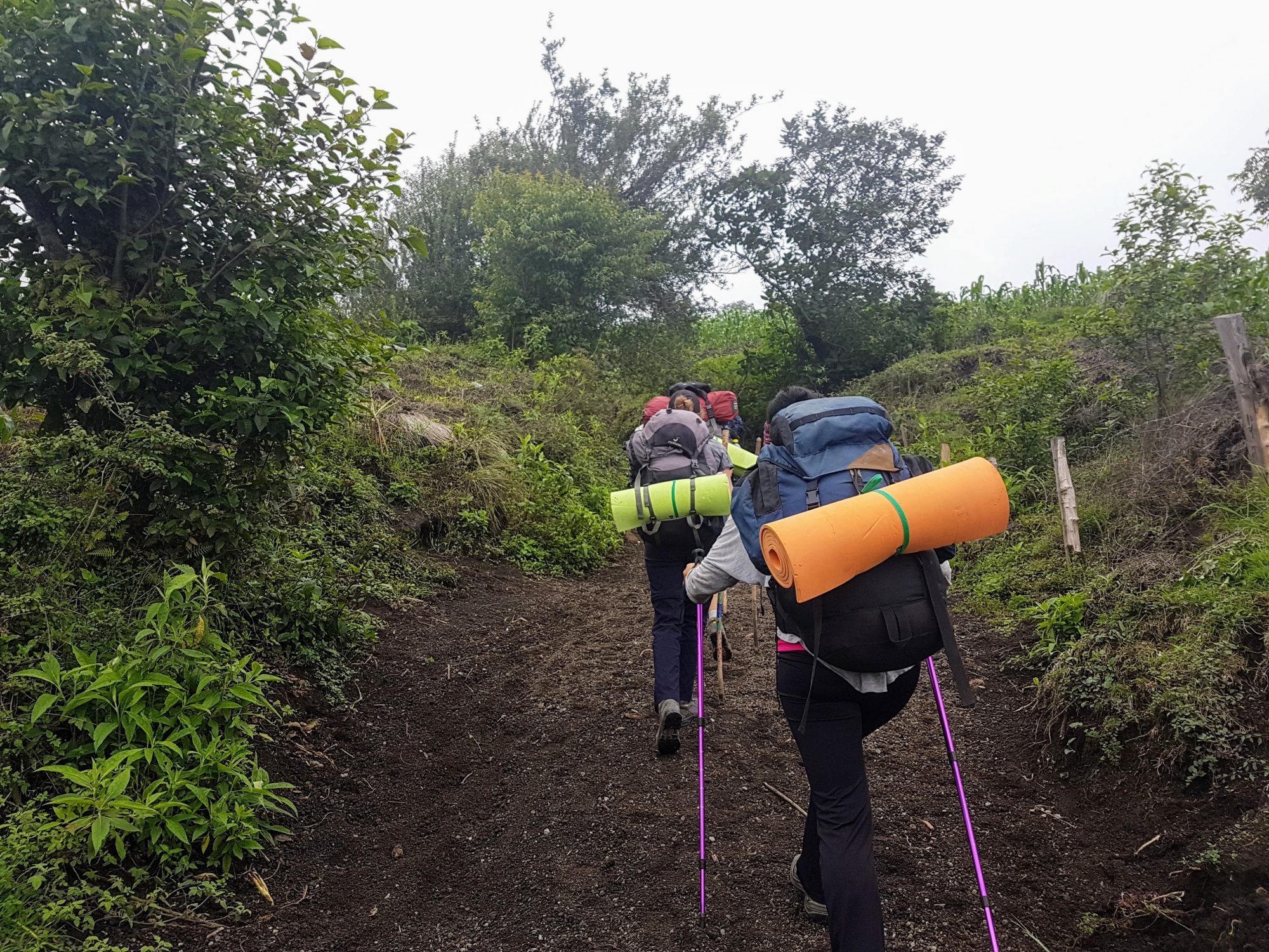 Volcán de Fuego Guatemala Lieblingsberg Fjella Berge Wandern
