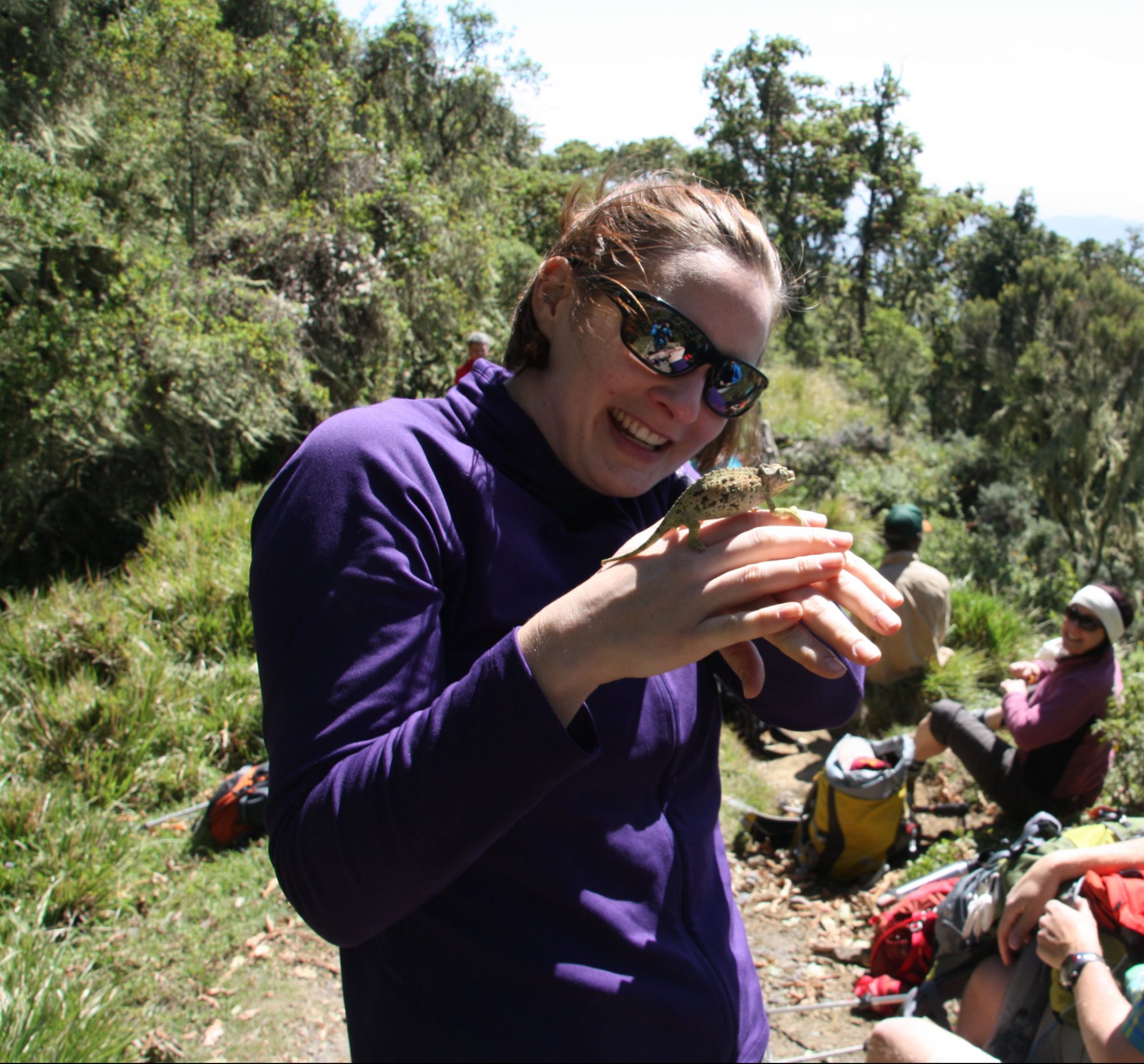 Mount Meru, Regenwald, Arusha Nationalpark, Tansania, Afrika