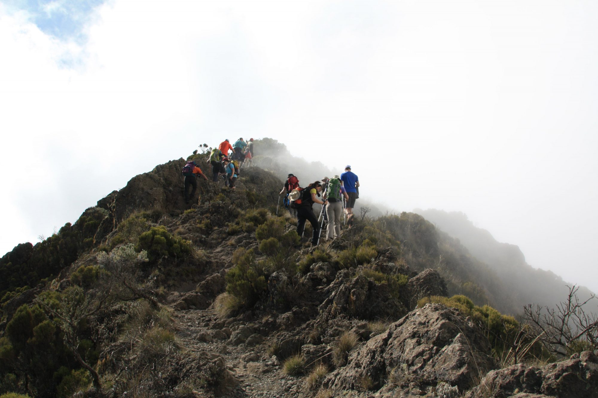 Little Meru im Nebel, Mount Meru, Regenwald, Arusha Nationalpark, Tansania, Afrika