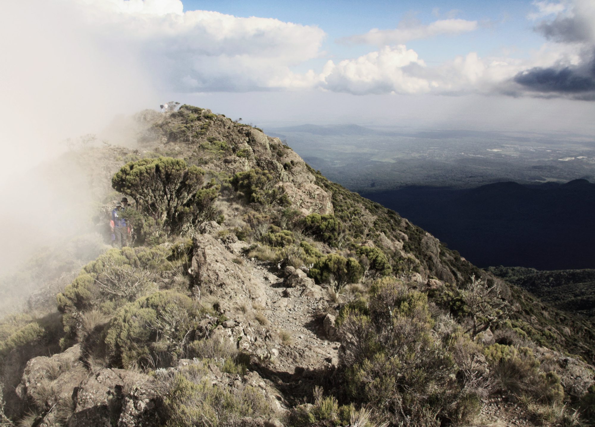 Little Meru, Mount Meru, Regenwald, Arusha Nationalpark, Tansania, Afrika