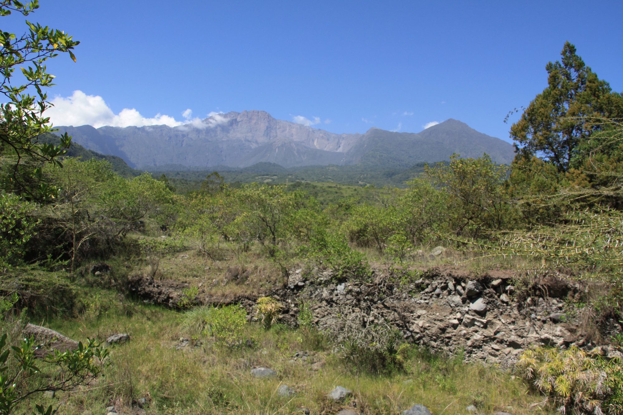 Blick zurück auf den Mount Meru, Mount Meru Besteigung, Tour, Erfahrungsbericht, Afrika, Tansania, Bergtour