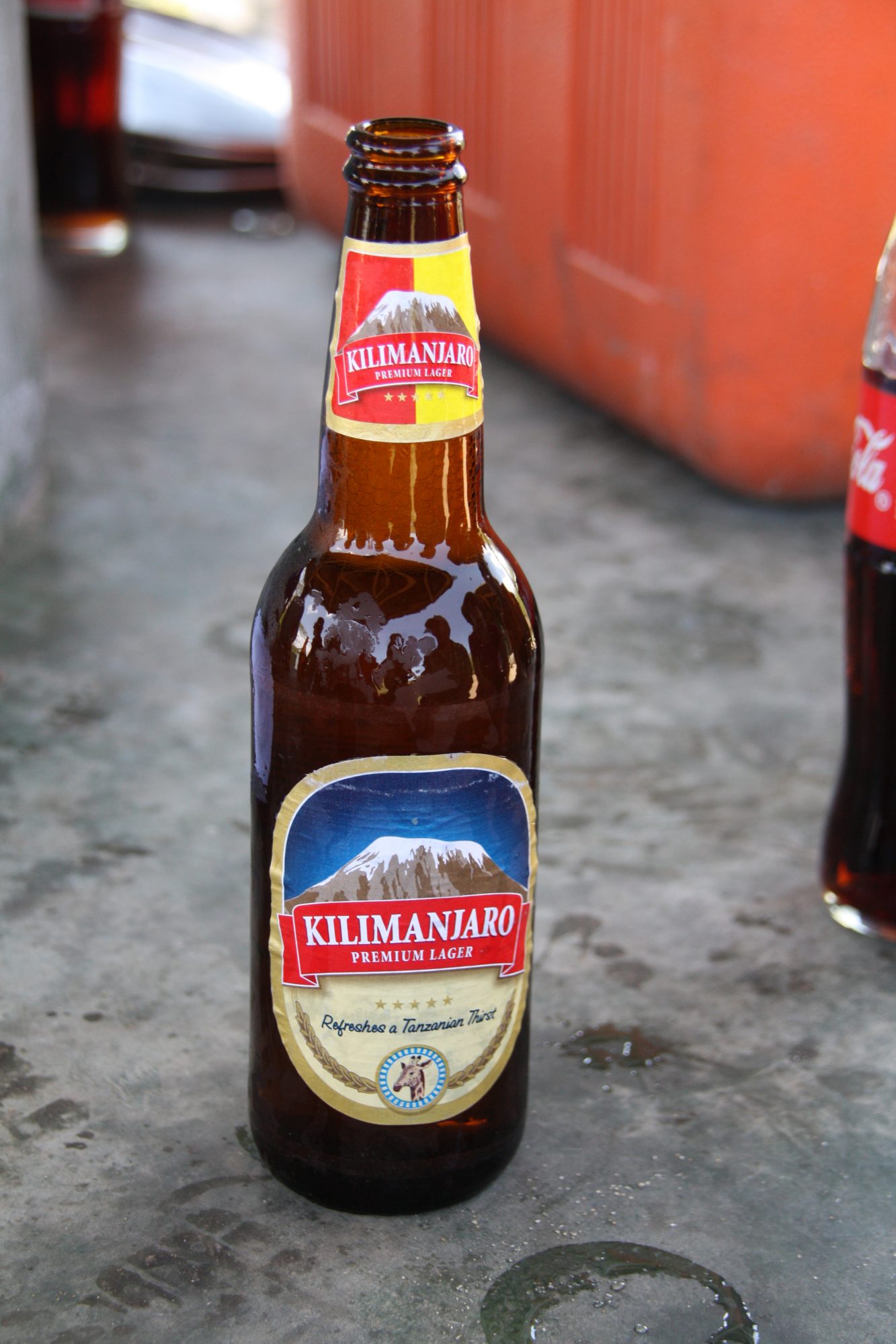 Kilimandscharo Bier am Mount Meru, Mount Meru Besteigung, Tour, Erfahrungsbericht, Afrika, Tansania, Bergtour