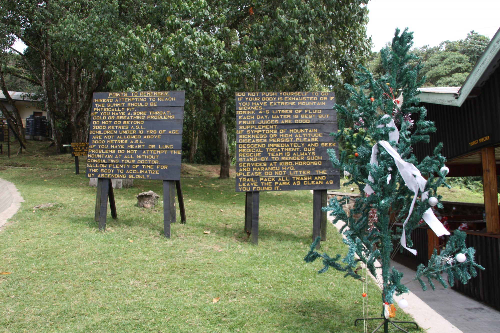 Machame Gate, Regeln, Kilimandscharo, Kilimandscharo besteigen, Tansania, Afrika, Kilimandscharo Tour, Erfahrungsbericht, Machame Route