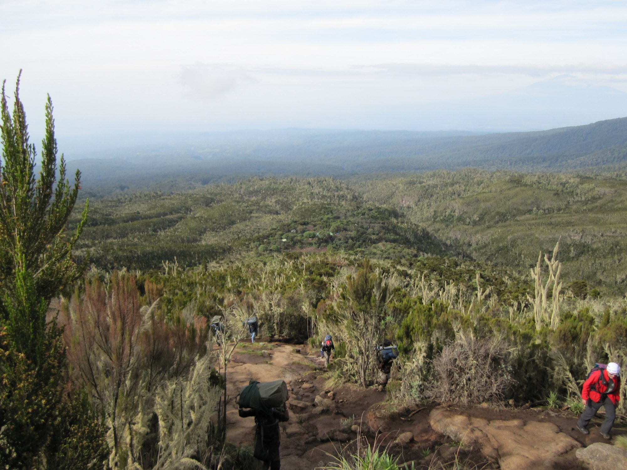 Wandern, Träger, Kilimandscharo, Kilimandscharo besteigen, Tansania, Afrika, Kilimandscharo Tour, Erfahrungsbericht, Machame Route