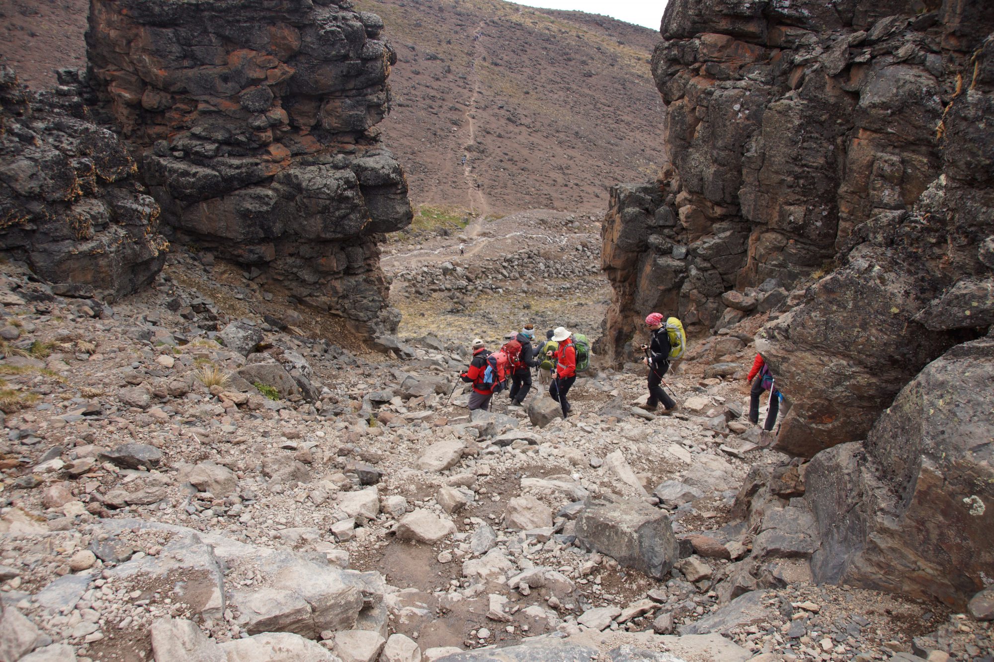 Wandern, Kilimandscharo, Kilimandscharo besteigen, Tansania, Afrika, Kilimandscharo Tour, Erfahrungsbericht, Machame Route