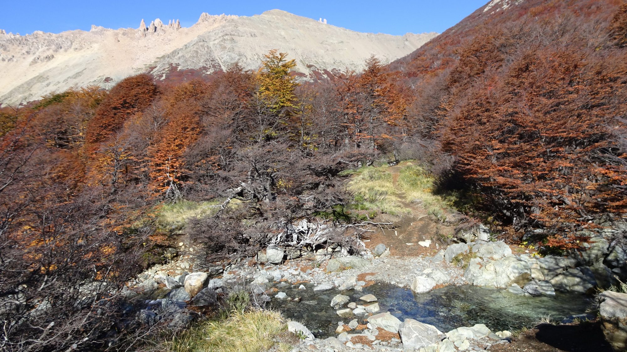 Fjella Bariloche Nahuel-Huapi Traverse Wanderung Wanderroute Catedral Refugio Frey Jacob Patagonien Argentinische Schweiz