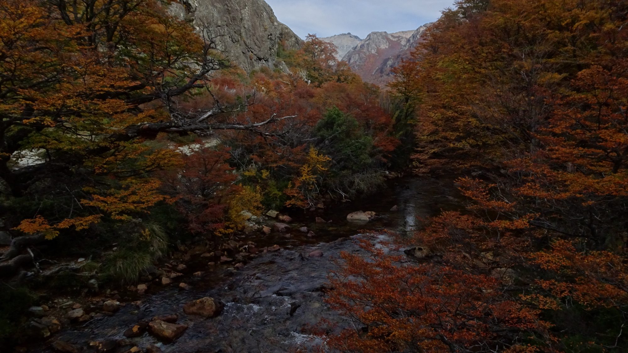 Fjella Bariloche Nahuel-Huapi Traverse Wanderung Wanderroute Refugio Jacob Colonia Suiza Refugio Laguna Negra Patagonien Argentinische Schweiz