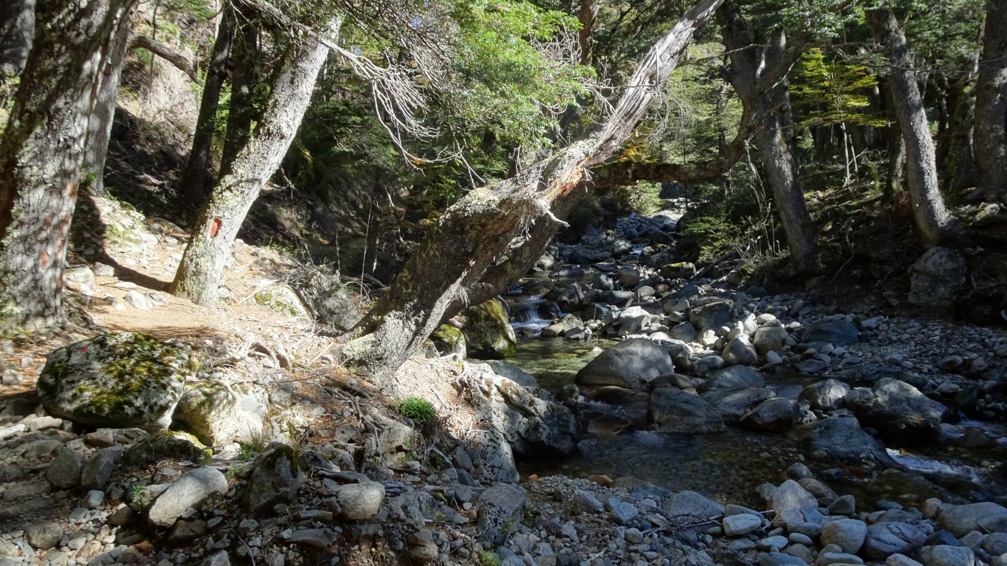 Fjella Bariloche Nahuel-Huapi Traverse Wanderung Wanderroute Refugio Jacob Colonia Suiza Refugio Laguna Negra Patagonien Argentinische Schweiz