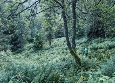 Packliste Hüttentour, Packliste Alpenüberquerung, Wandern, Mehrtagestour,