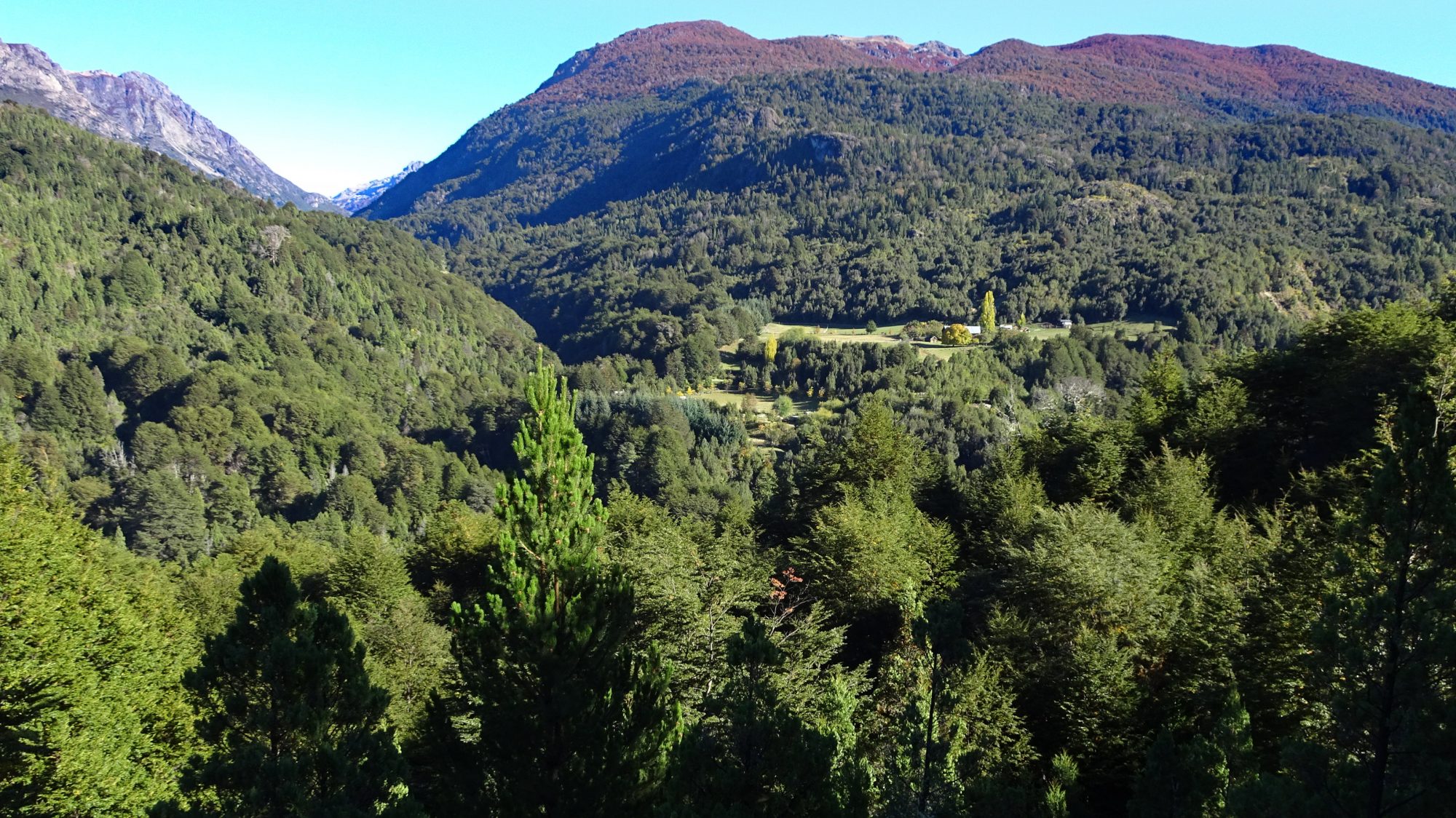 Fjella El Bolson Wanderung Patagonien Warton Dedo Gordo Encanto Blanco Wanderroute Wandern