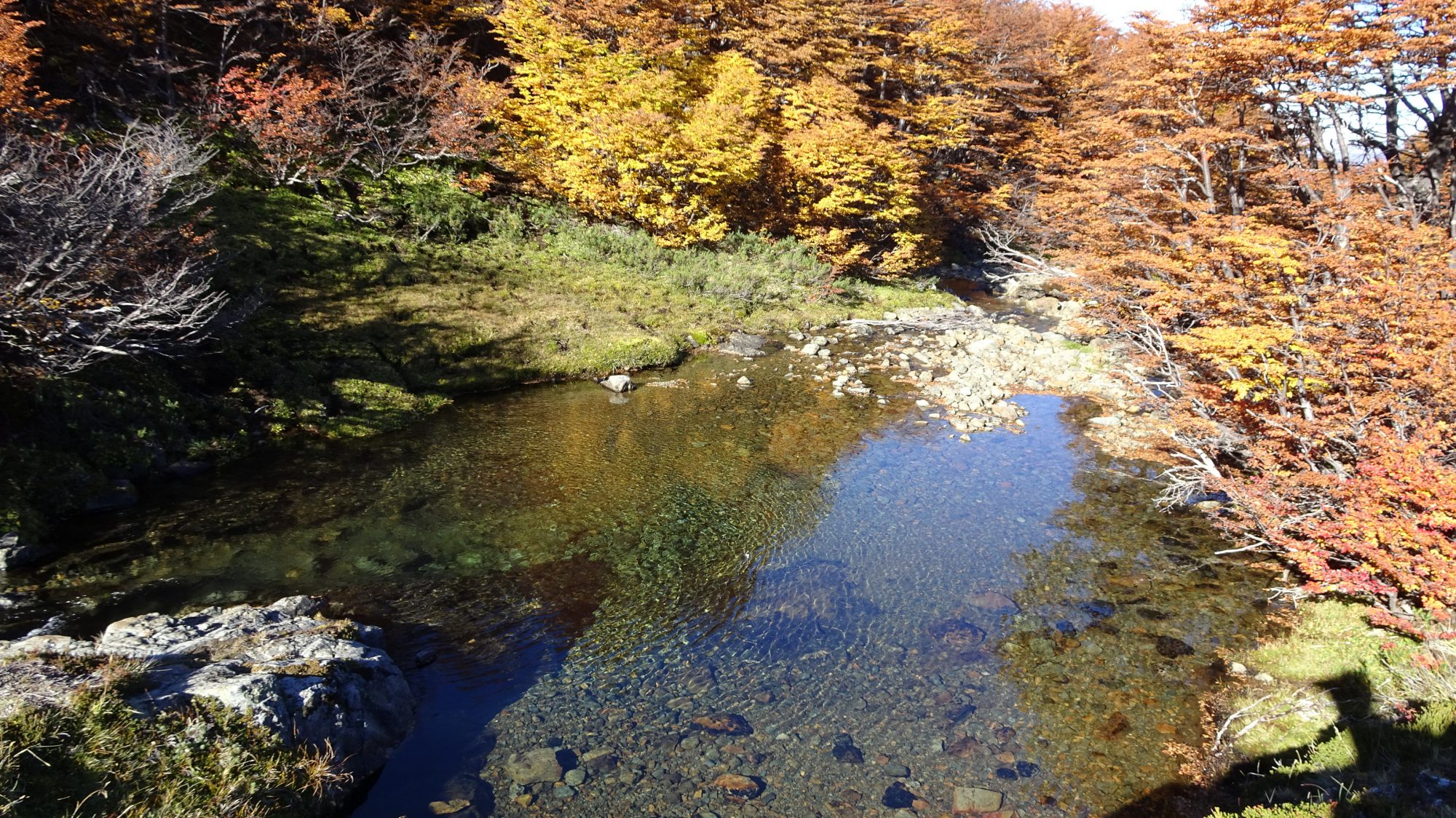 Fjella El Bolson Wanderung Patagonien Warton Dedo Gordo Encanto Blanco Wanderroute Wandern Bach Herbst