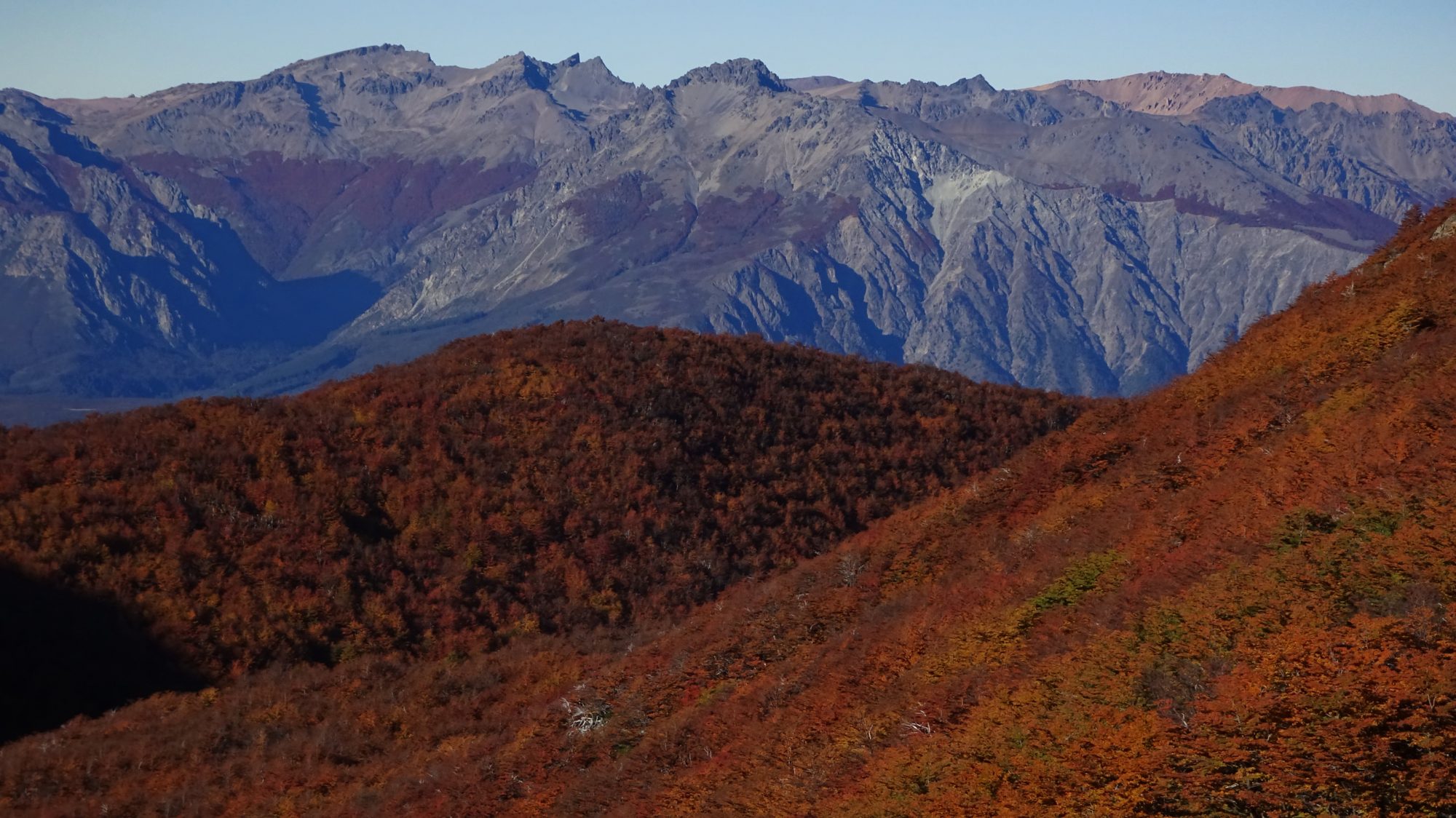 Fjella El Bolson Wanderung Patagonien Warton Dedo Gordo Encanto Blanco Wanderroute Wandern Herbst Berge