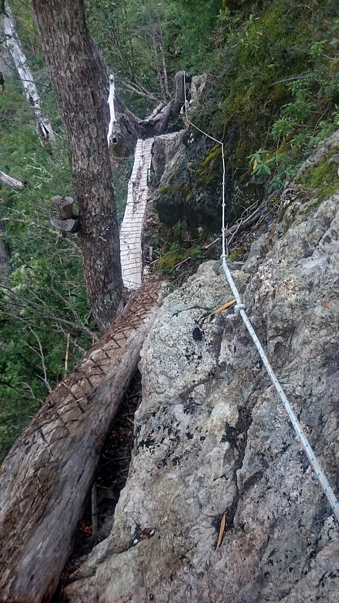 Fjella El Bolson Wanderung Patagonien Warton Dedo Gordo Encanto Blanco Wanderroute Wandern