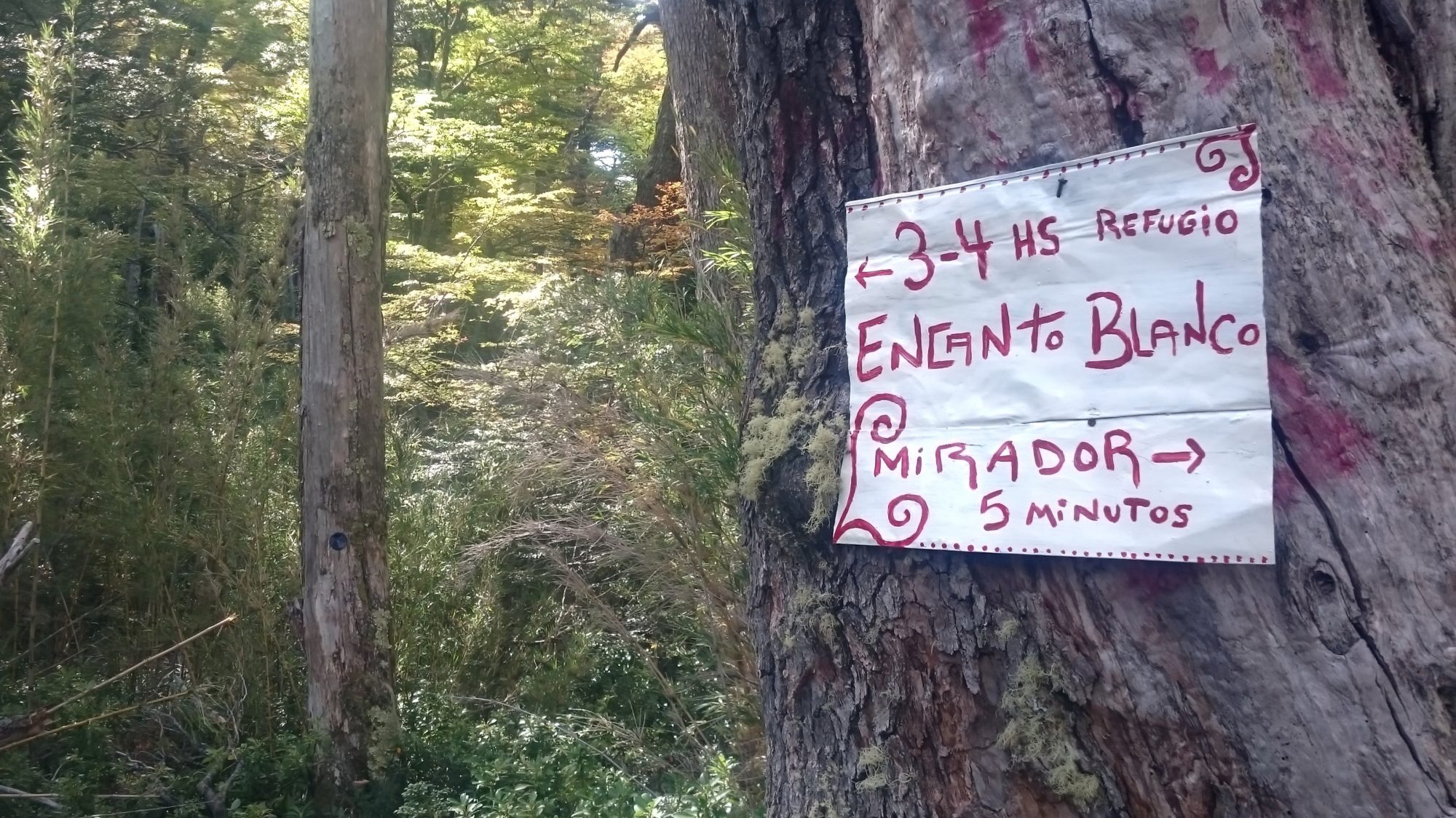 Fjella El Bolson Wanderung Patagonien Warton Dedo Gordo Encanto Blanco Wanderroute Wandern