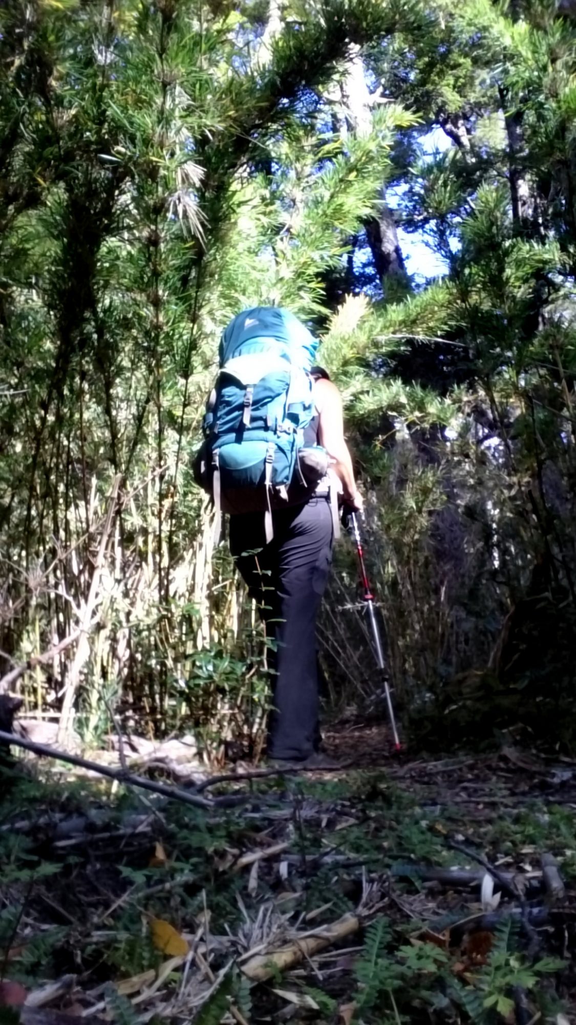 Fjella El Bolson Wanderung Patagonien Warton Dedo Gordo Encanto Blanco Wanderroute Wandern Bambus