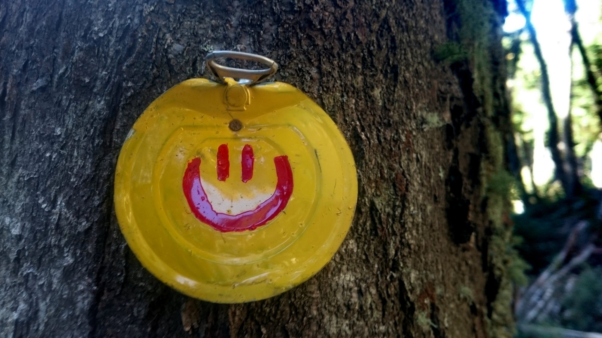 Fjella El Bolson Wanderung Patagonien Warton Dedo Gordo Encanto Blanco Wanderroute Wandern Wegmarkierungen